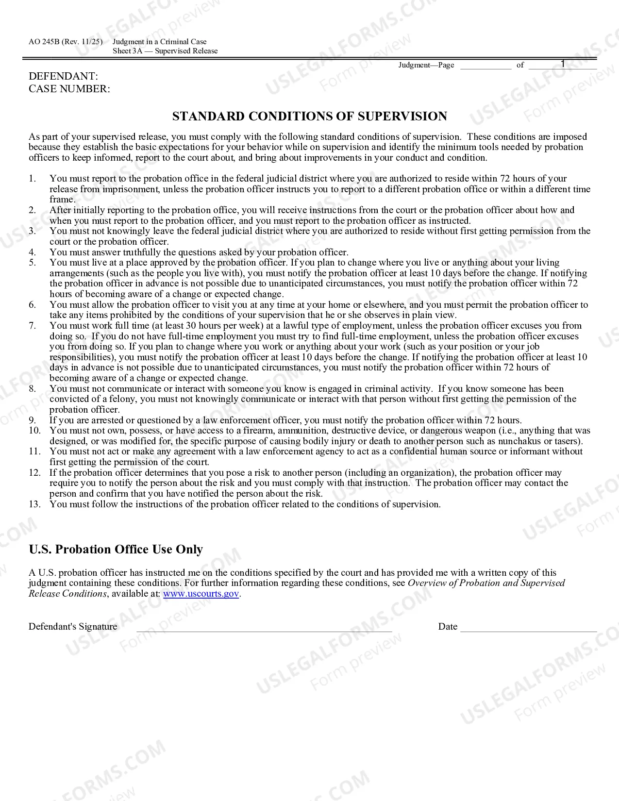 Preview Judgment in a Criminal Case