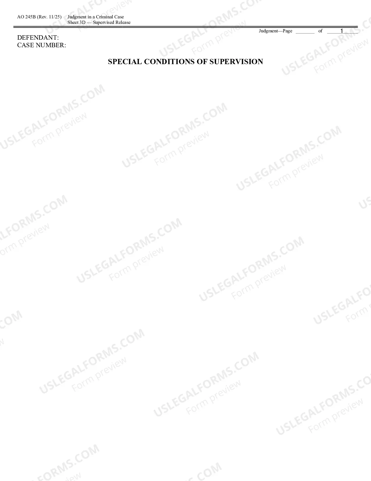 Preview Judgment in a Criminal Case
