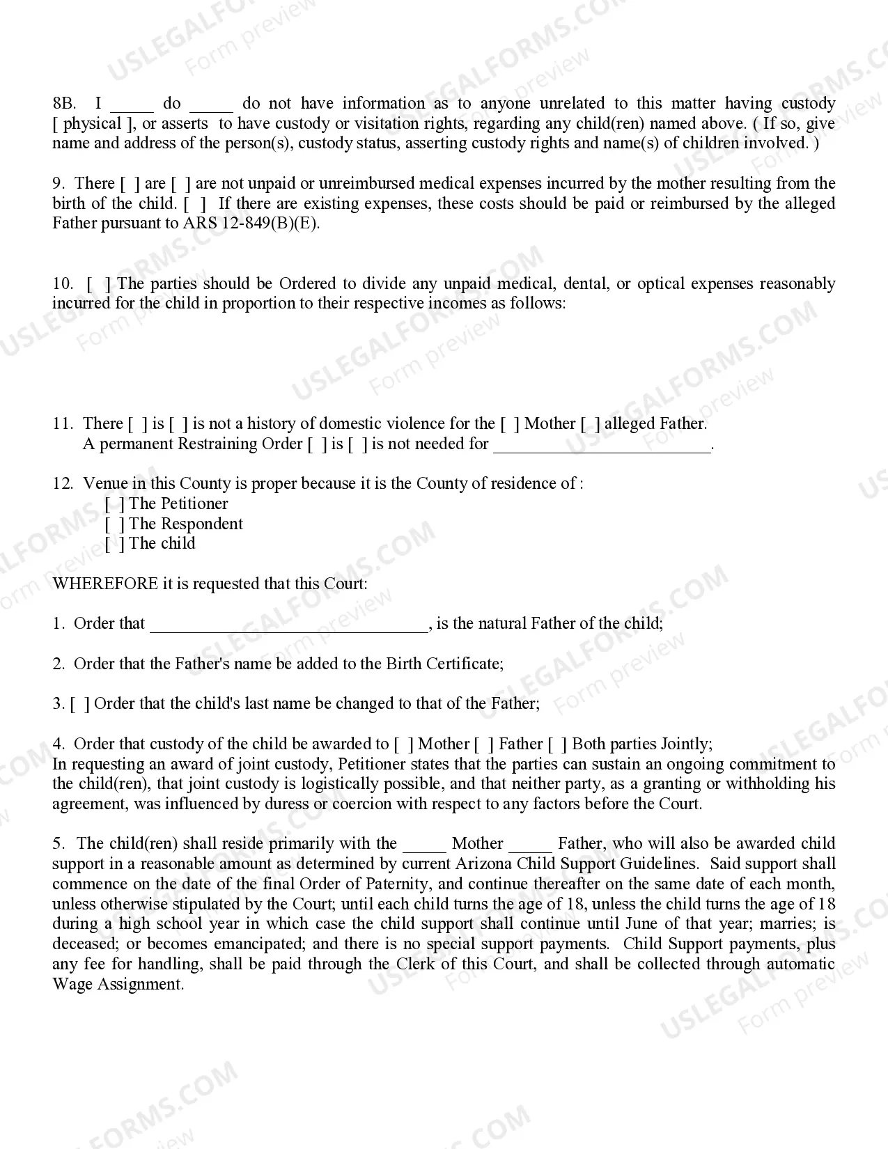 Preview Complaint in Paternity Establishing Child Custody, Visitation and Support