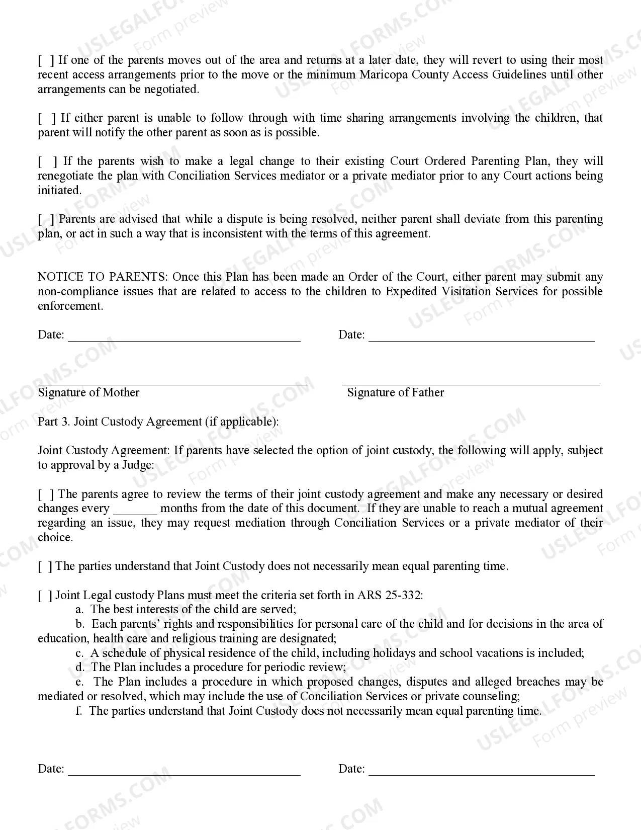 Preview Parenting Plan