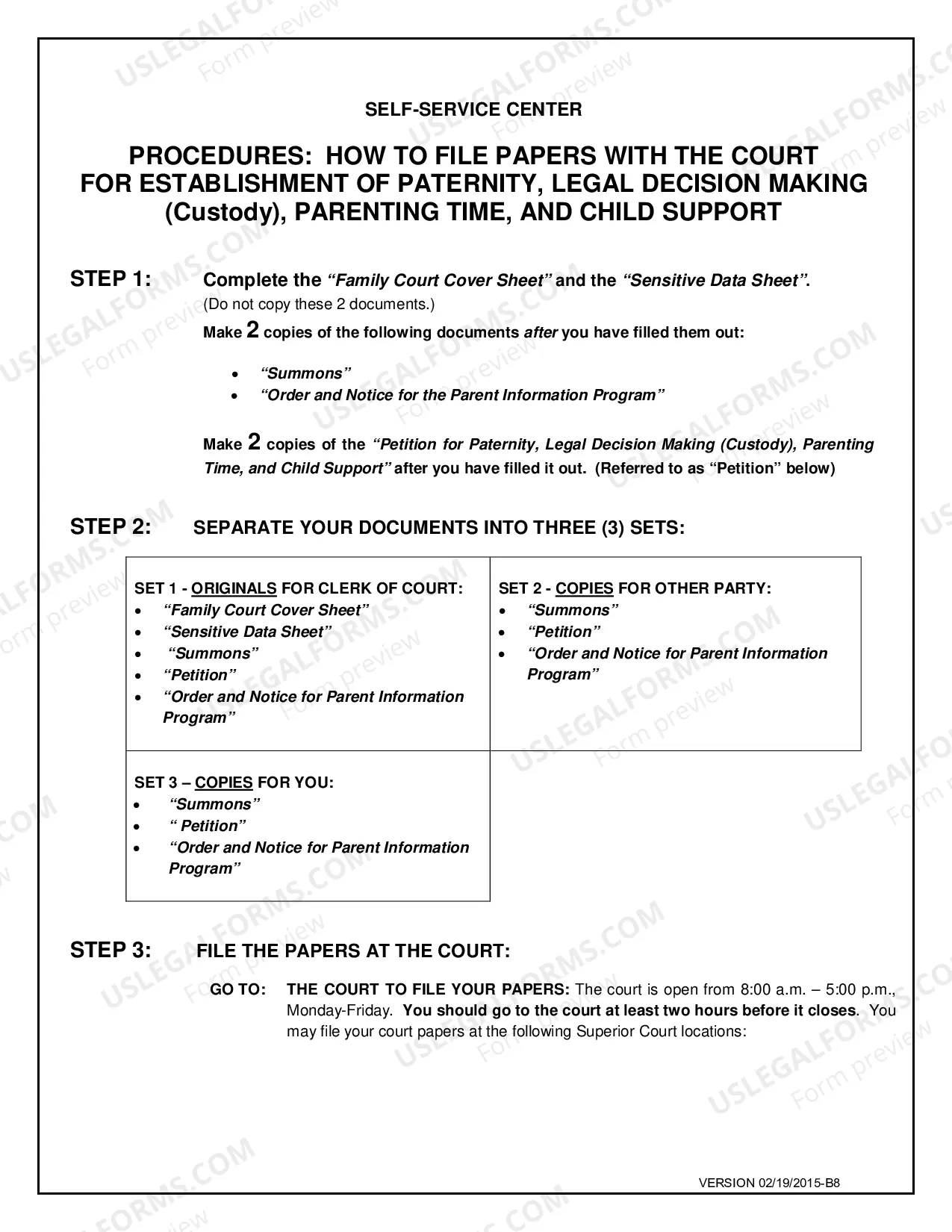 Preview Establish Paternity with Custody, Parenting Time and Child Support for Petitioner Only
