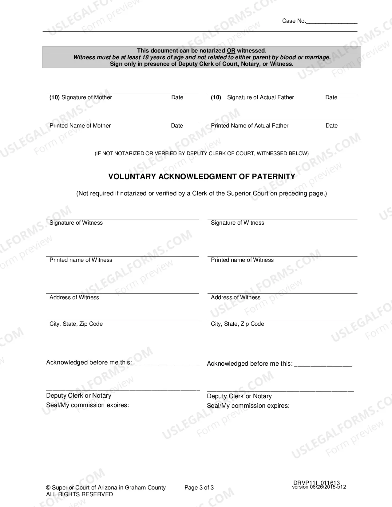 Preview Voluntary Paternity