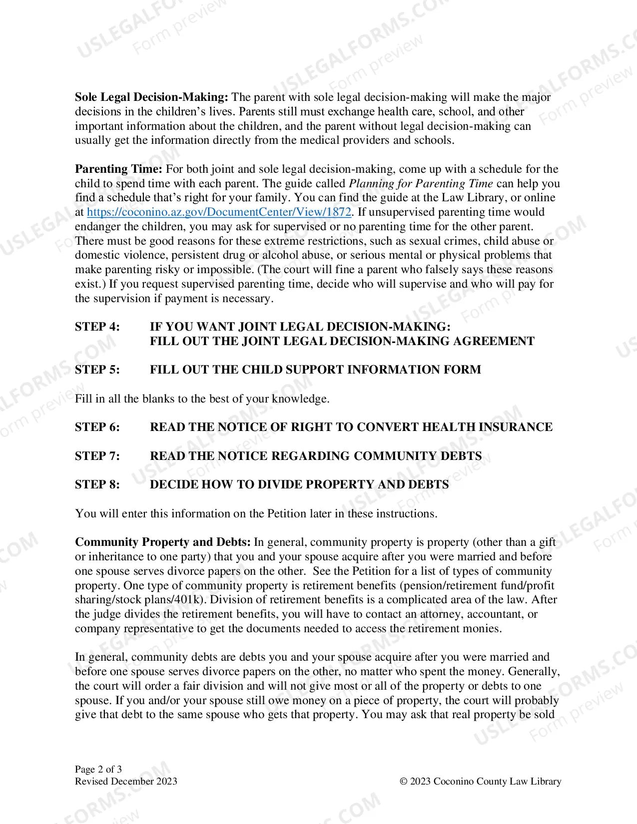 Preview Child Support Information Form