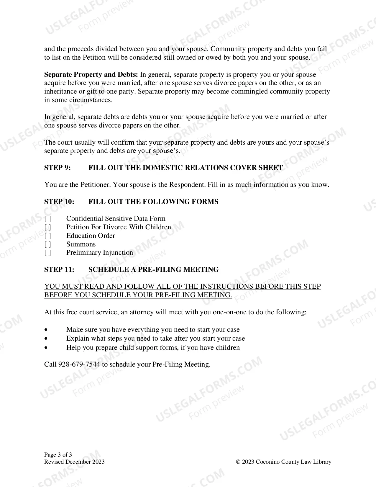 Preview Child Support Information Form