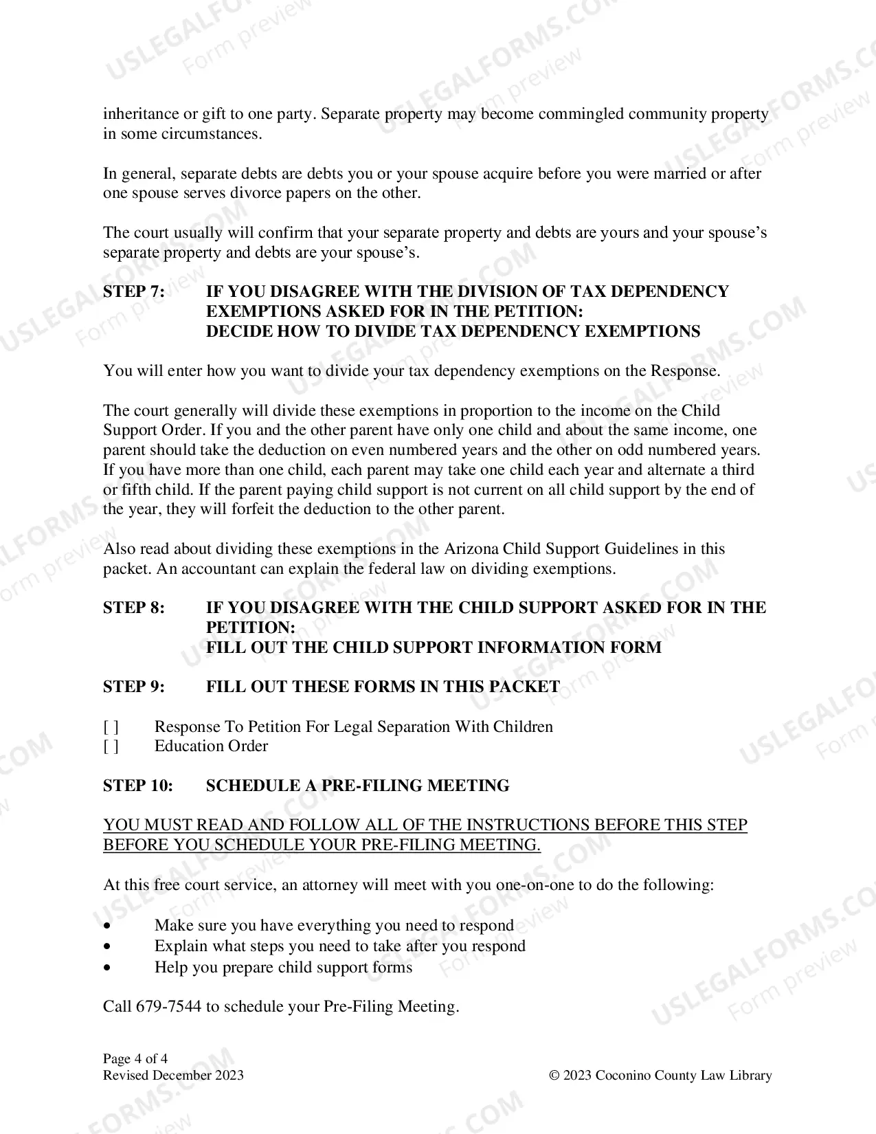 Preview Legal Separation With Children Packet