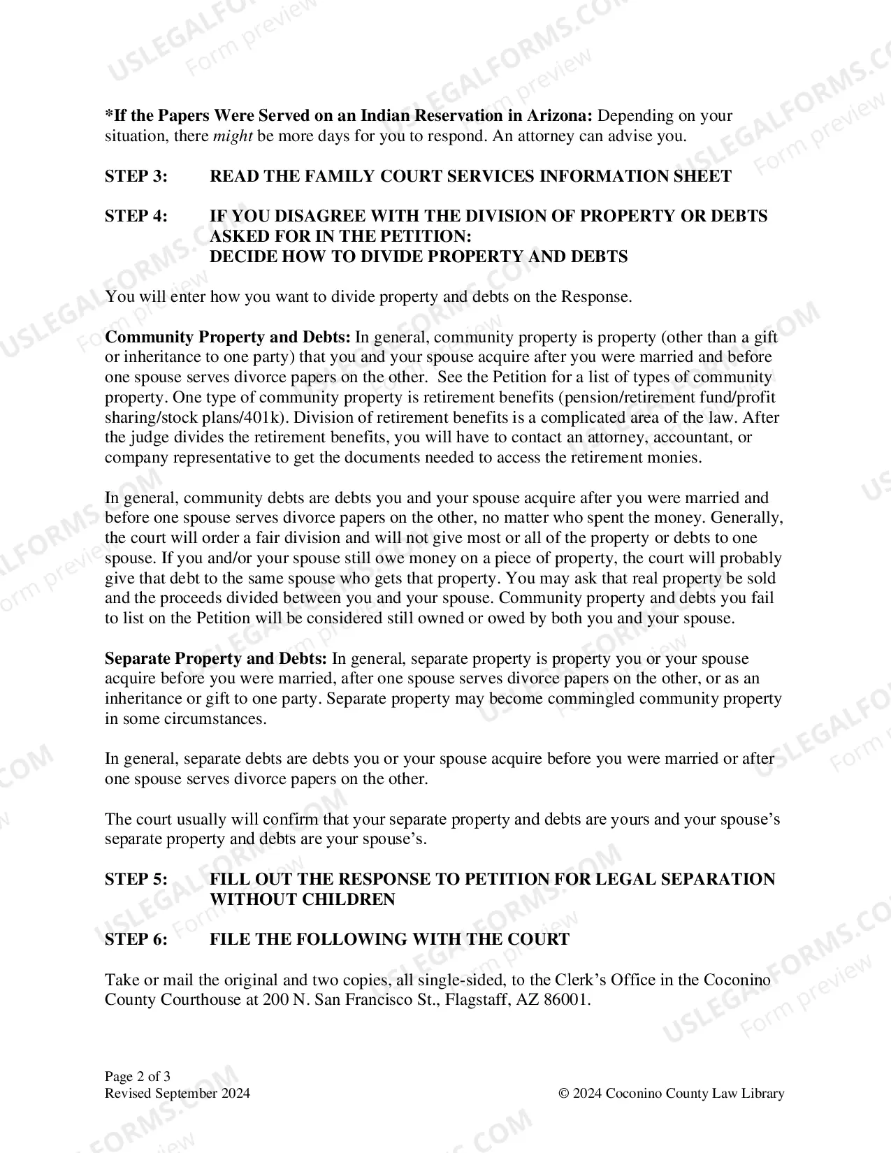 Preview Legal Separation Without Children Packet