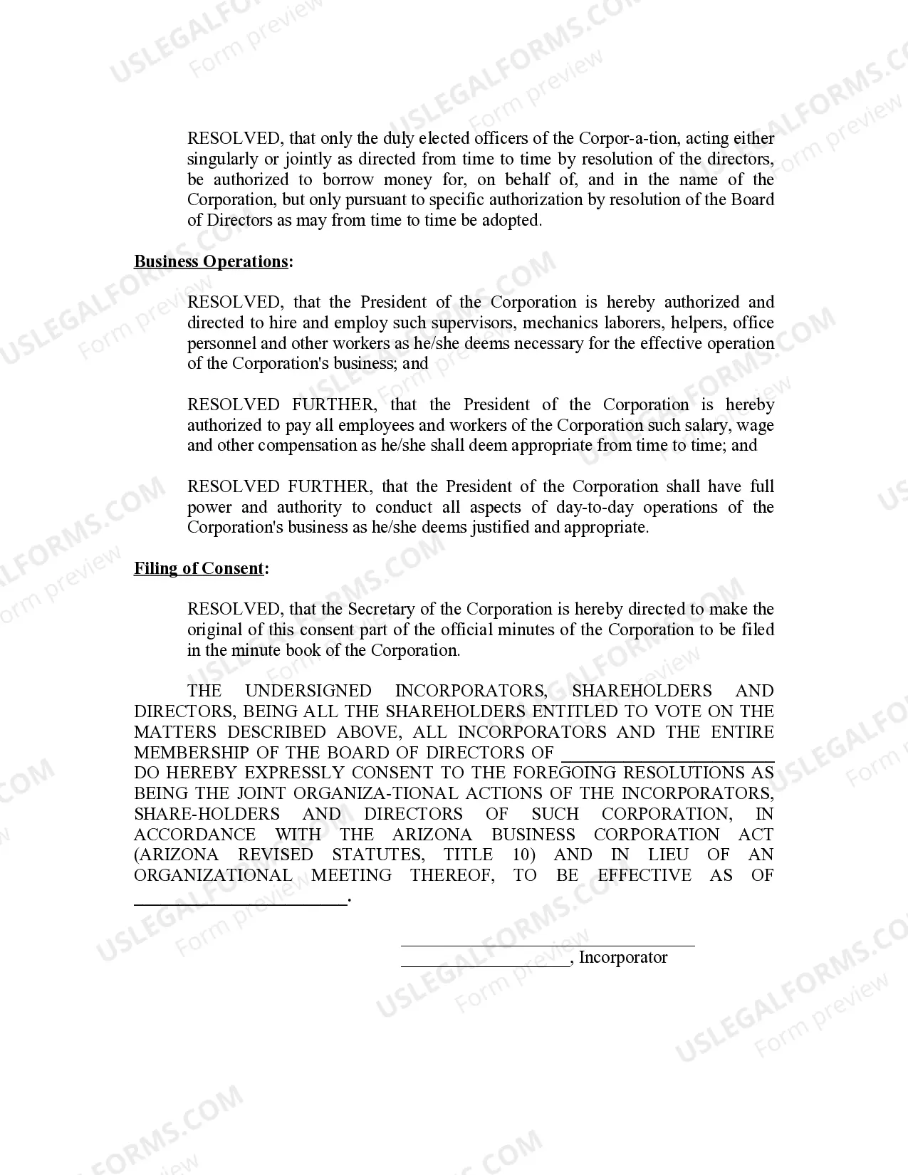 Preview Minutes for Organizational Meeting