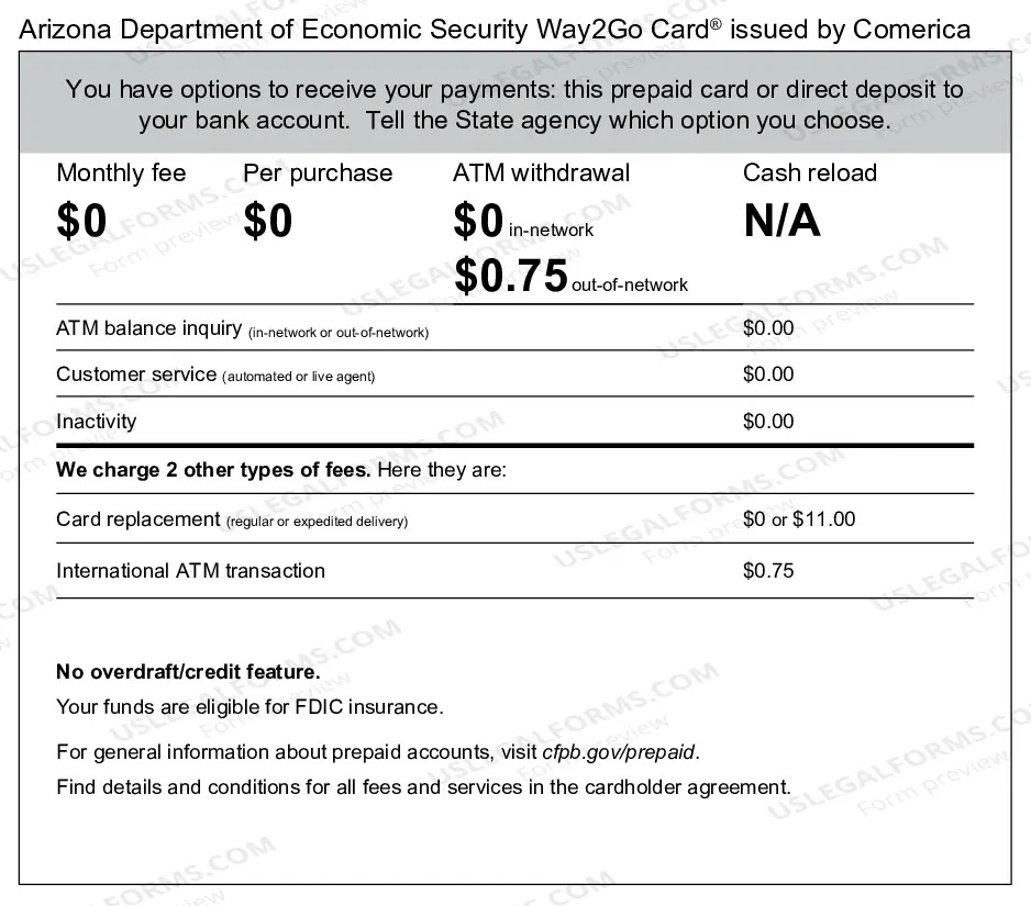Preview Electronic Payment Authorization