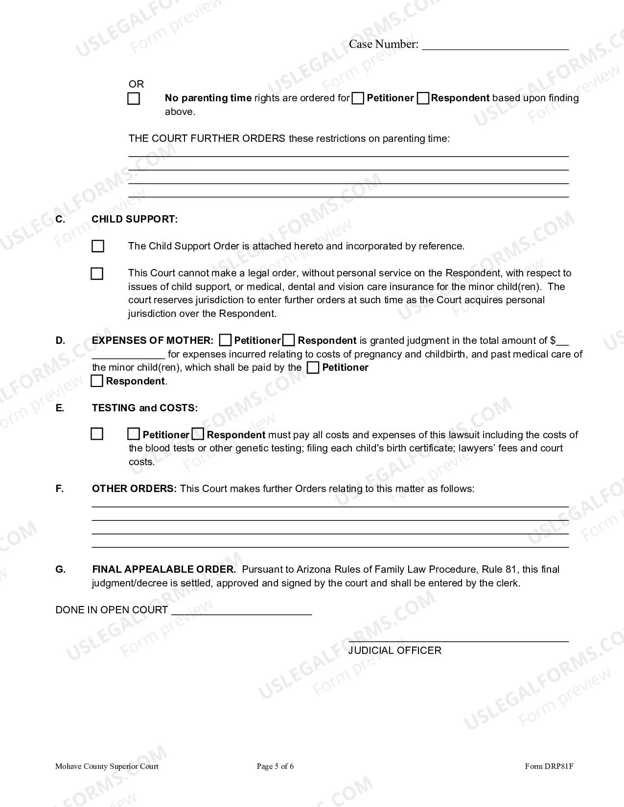 Preview Judgment And Order For Paternity