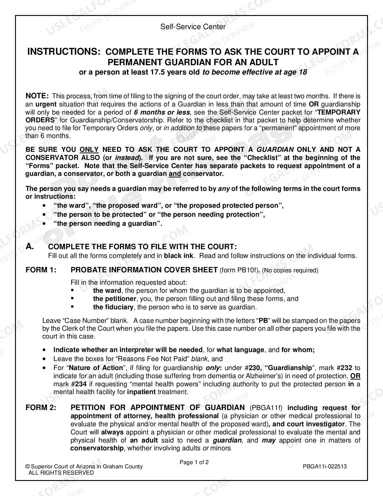 Preview Guardianship for an Adult