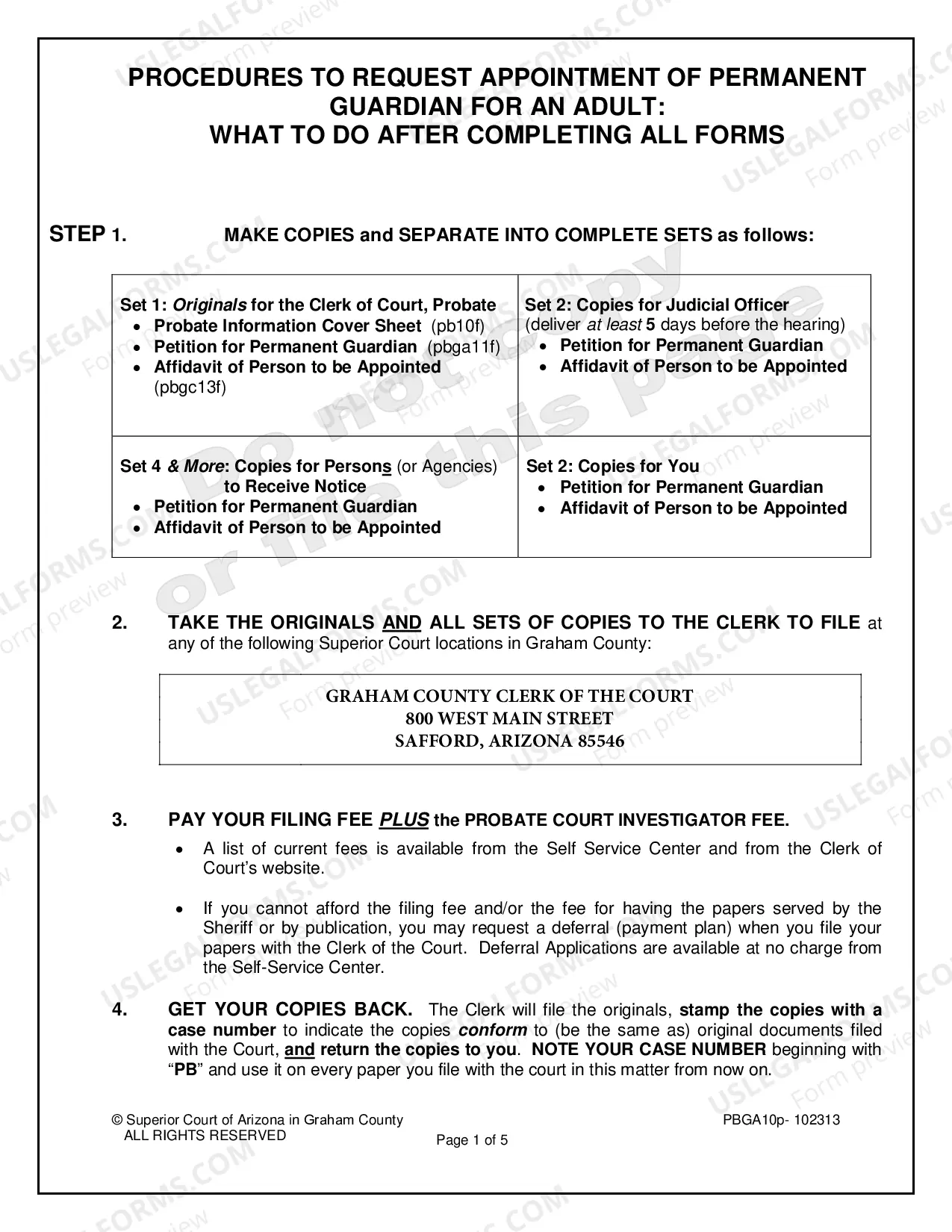 Preview Guardianship for an Adult