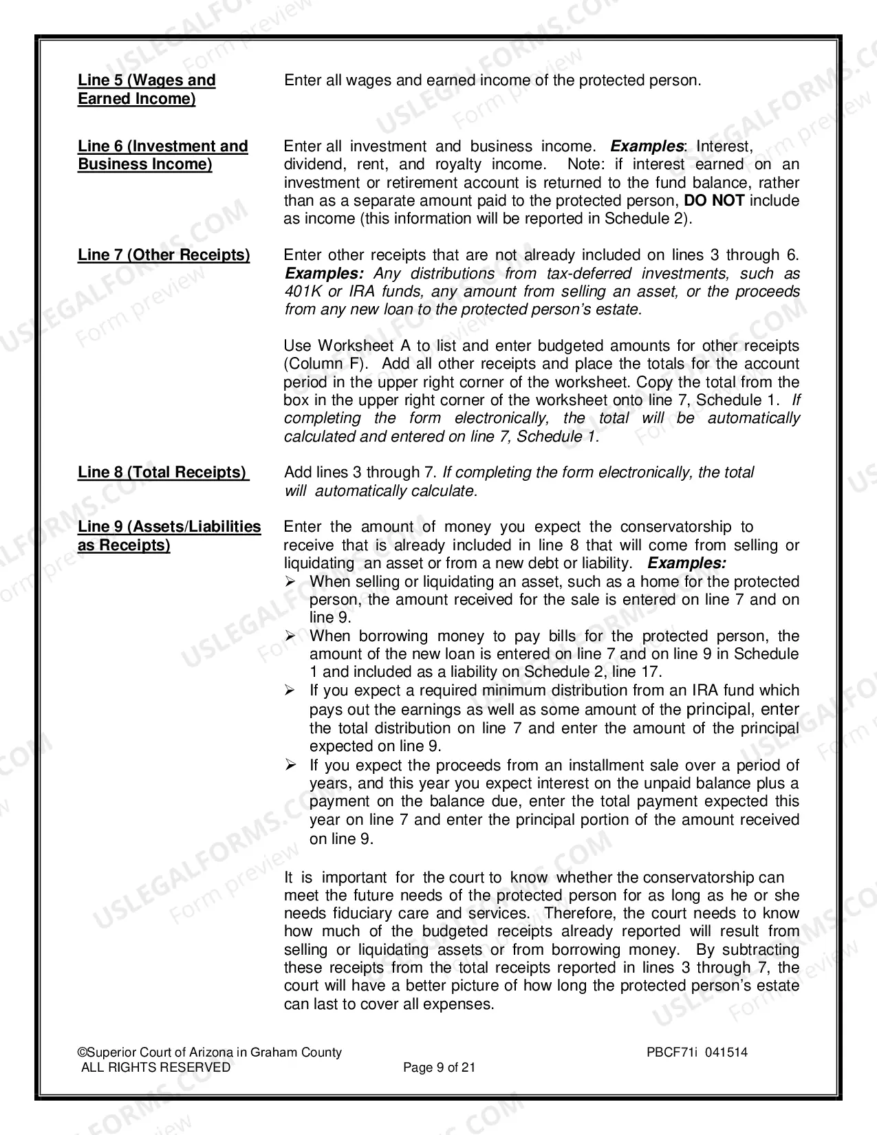 Preview Conservatorship Annual Report