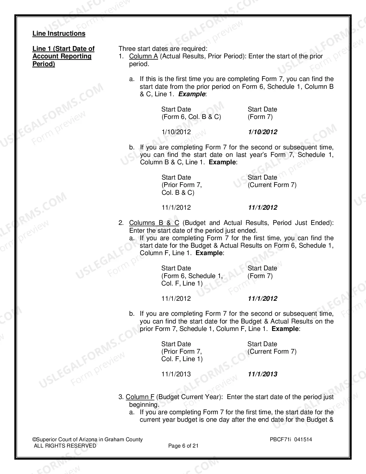 Preview Conservatorship Annual Report