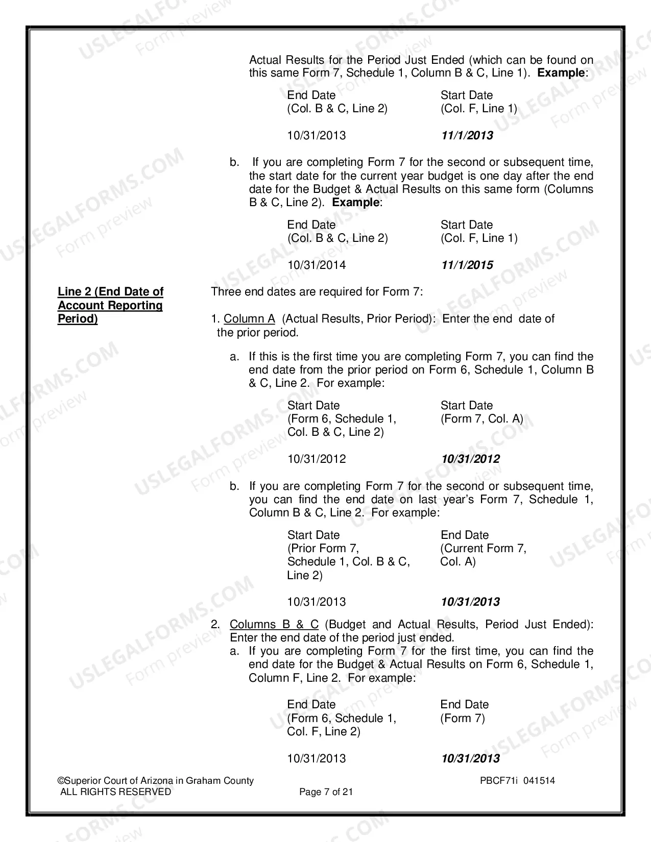 Preview Conservatorship Annual Report