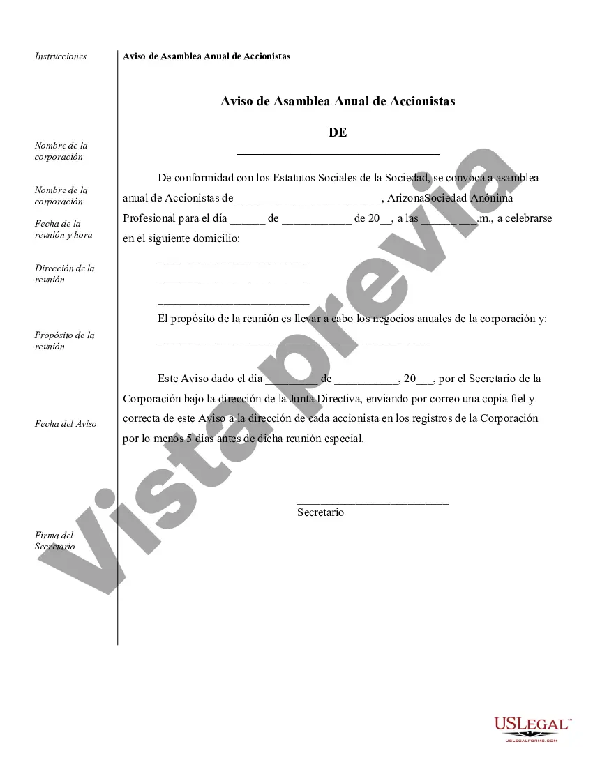 Preview Muestra de registros corporativos para una corporación profesional de Arizona