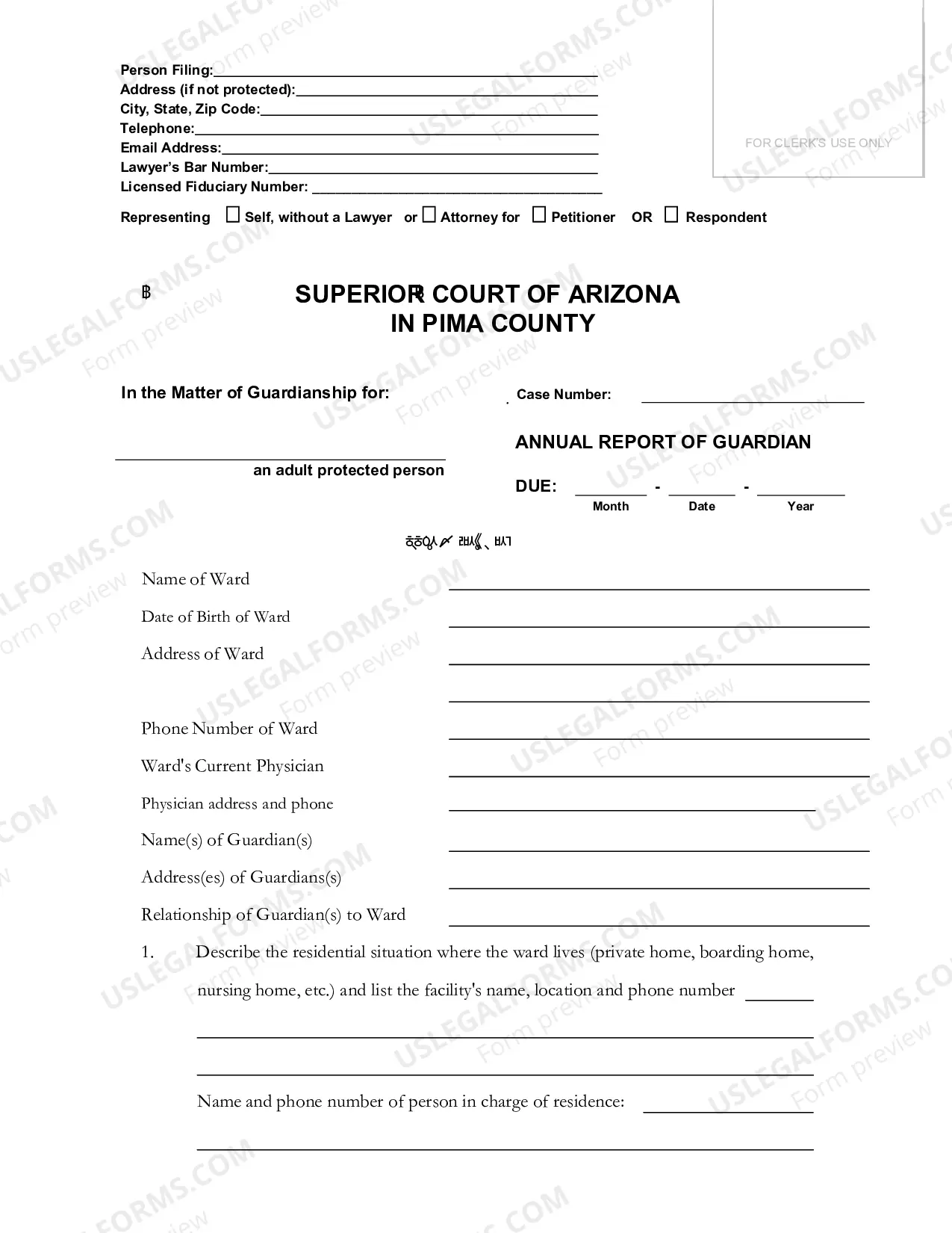 Preview Annual Guardianship Report
