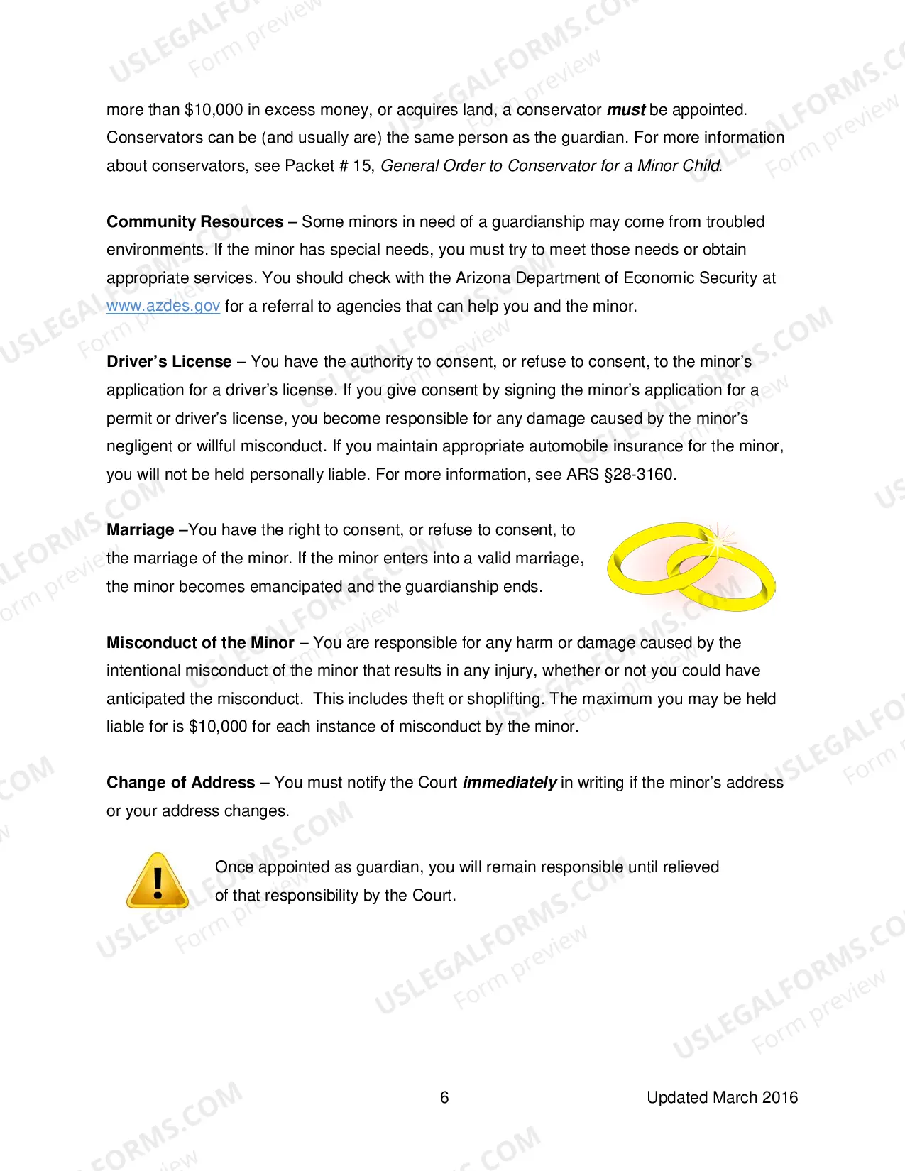 Preview Minor Guardianship General Information