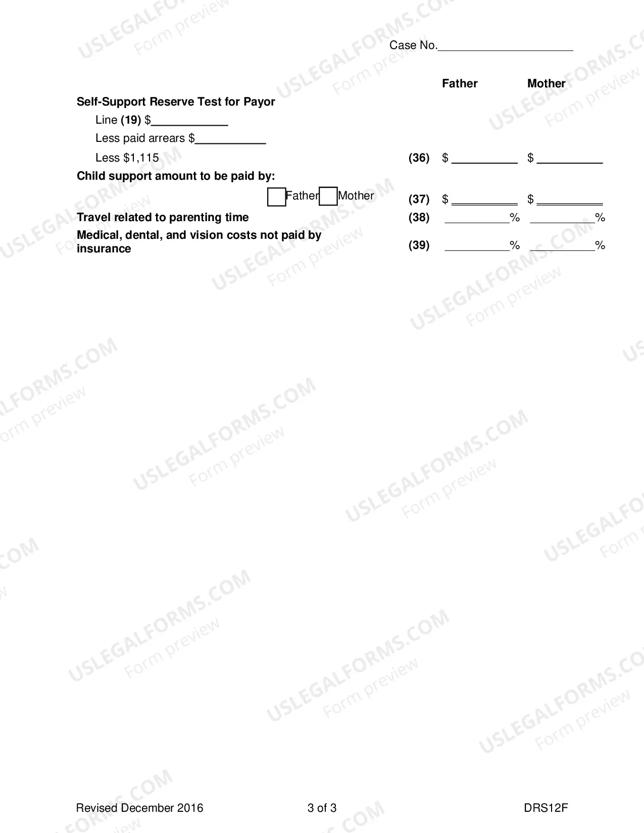Preview Request to Modify Child Support Packet