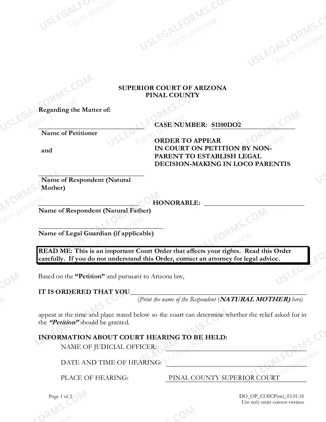 Preview Petition by Non-Parent to Establish Legal Decision-Making in Loco Parentis