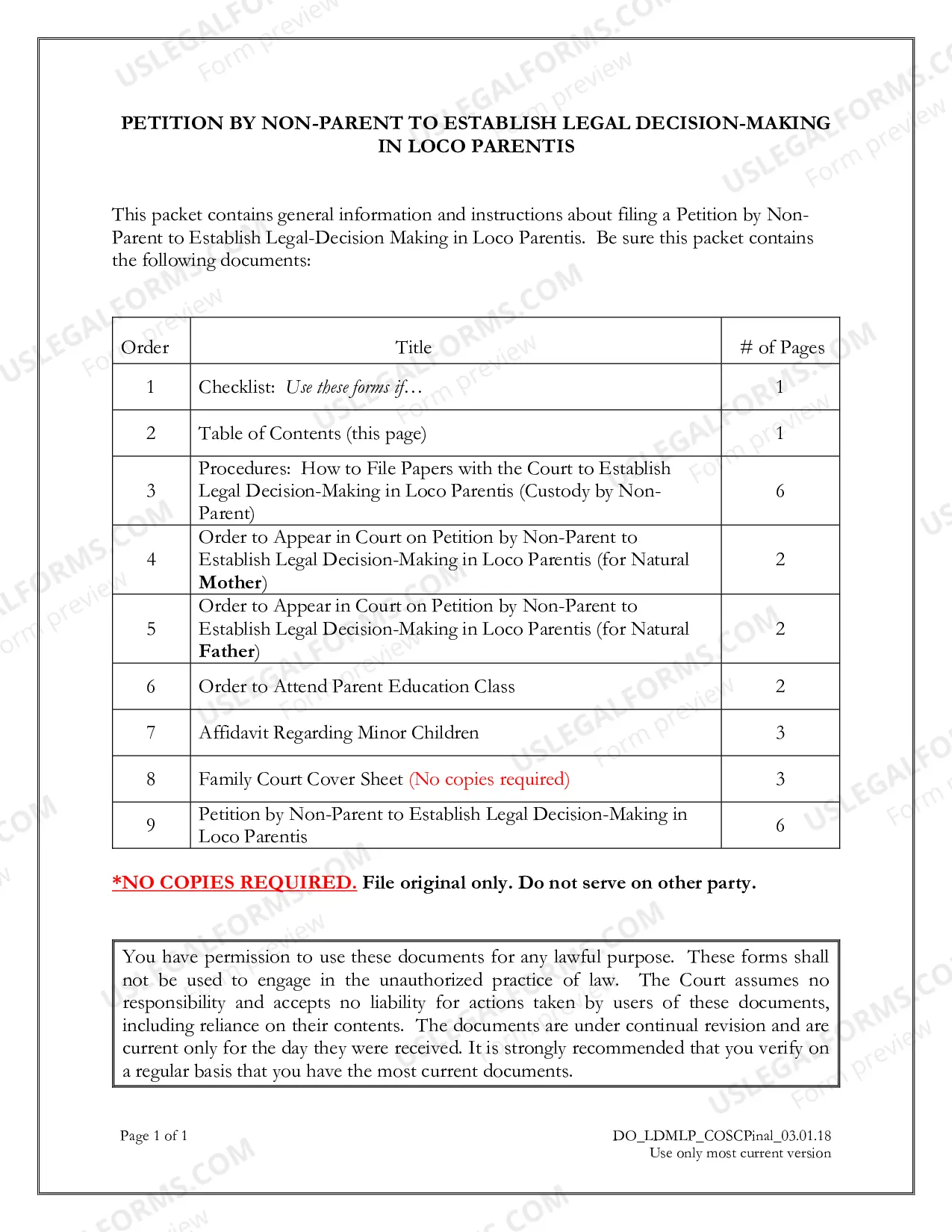 Preview Petition by Non-Parent to Establish Legal Decision-Making in Loco Parentis