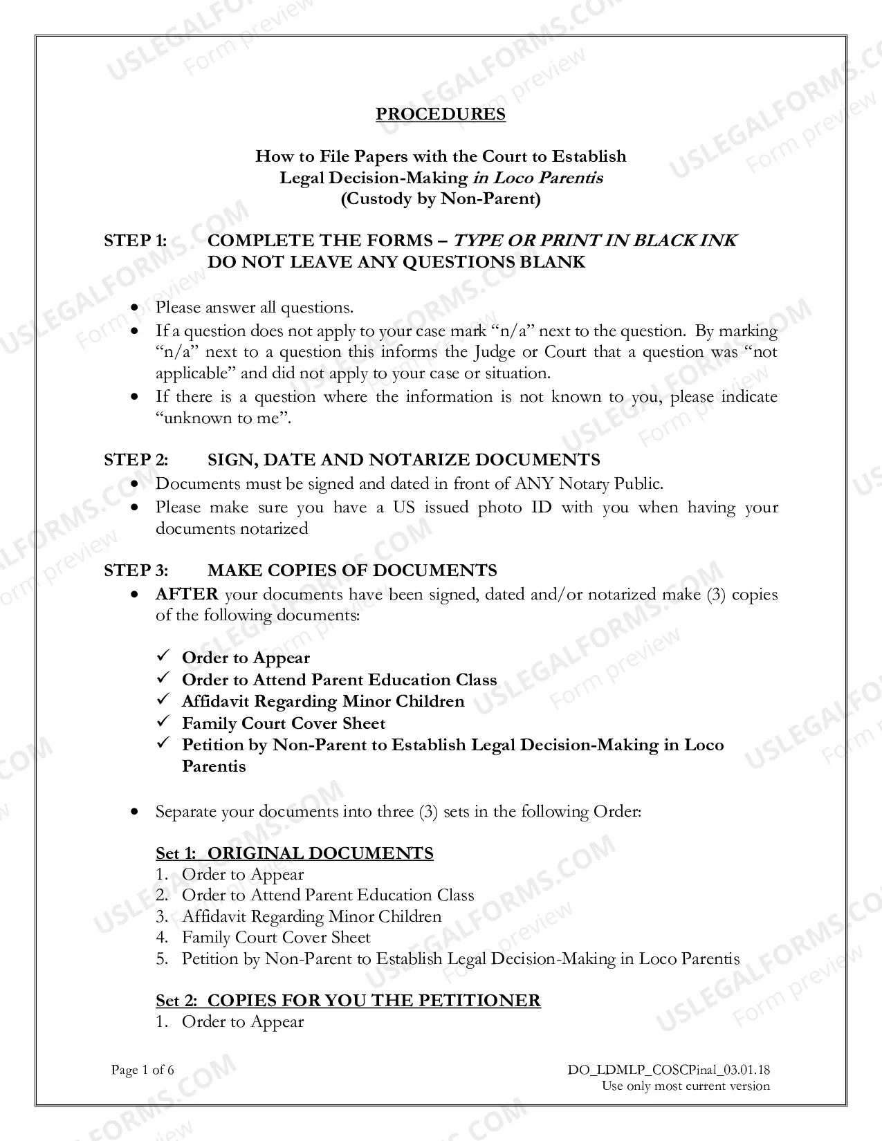 Preview Petition by Non-Parent to Establish Legal Decision-Making in Loco Parentis