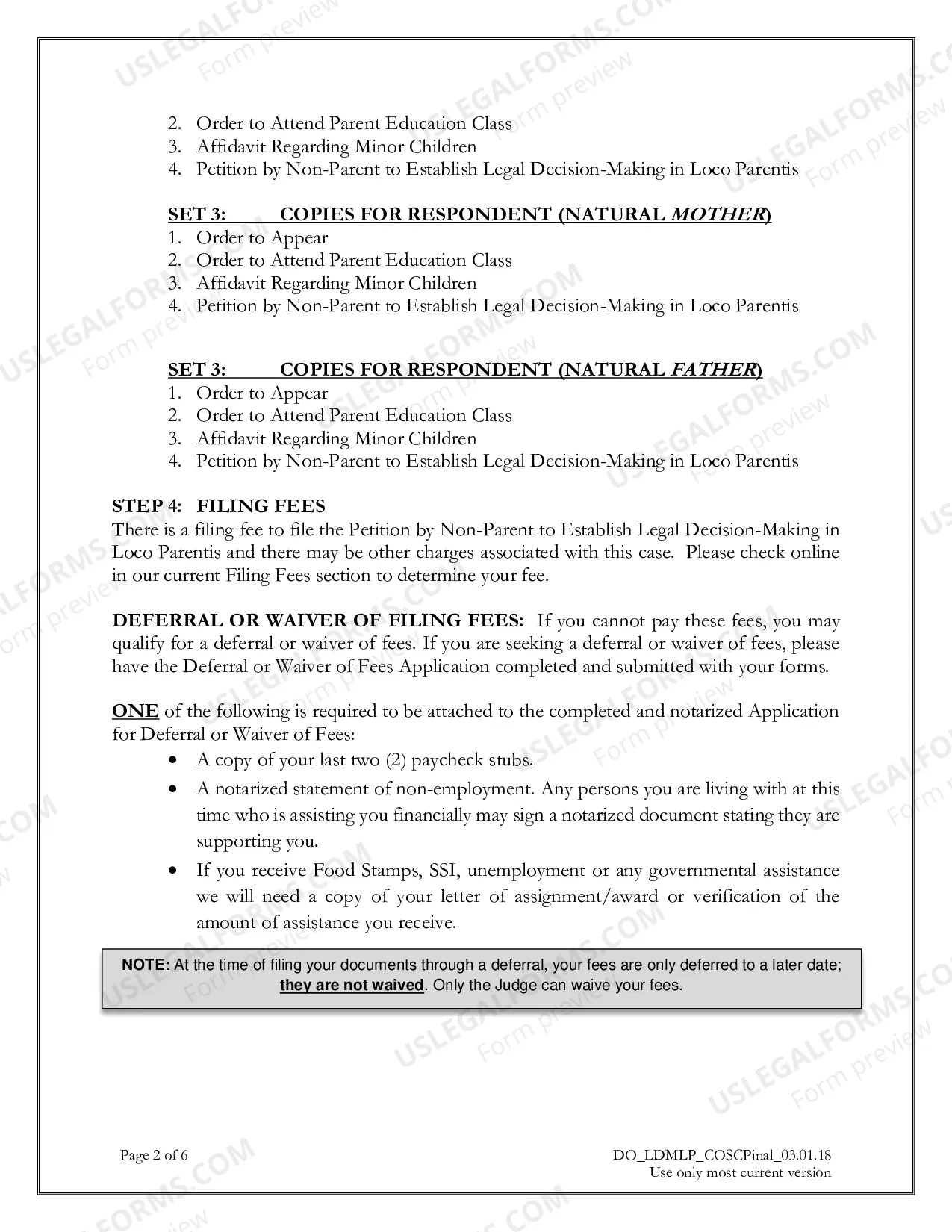 Preview Petition by Non-Parent to Establish Legal Decision-Making in Loco Parentis