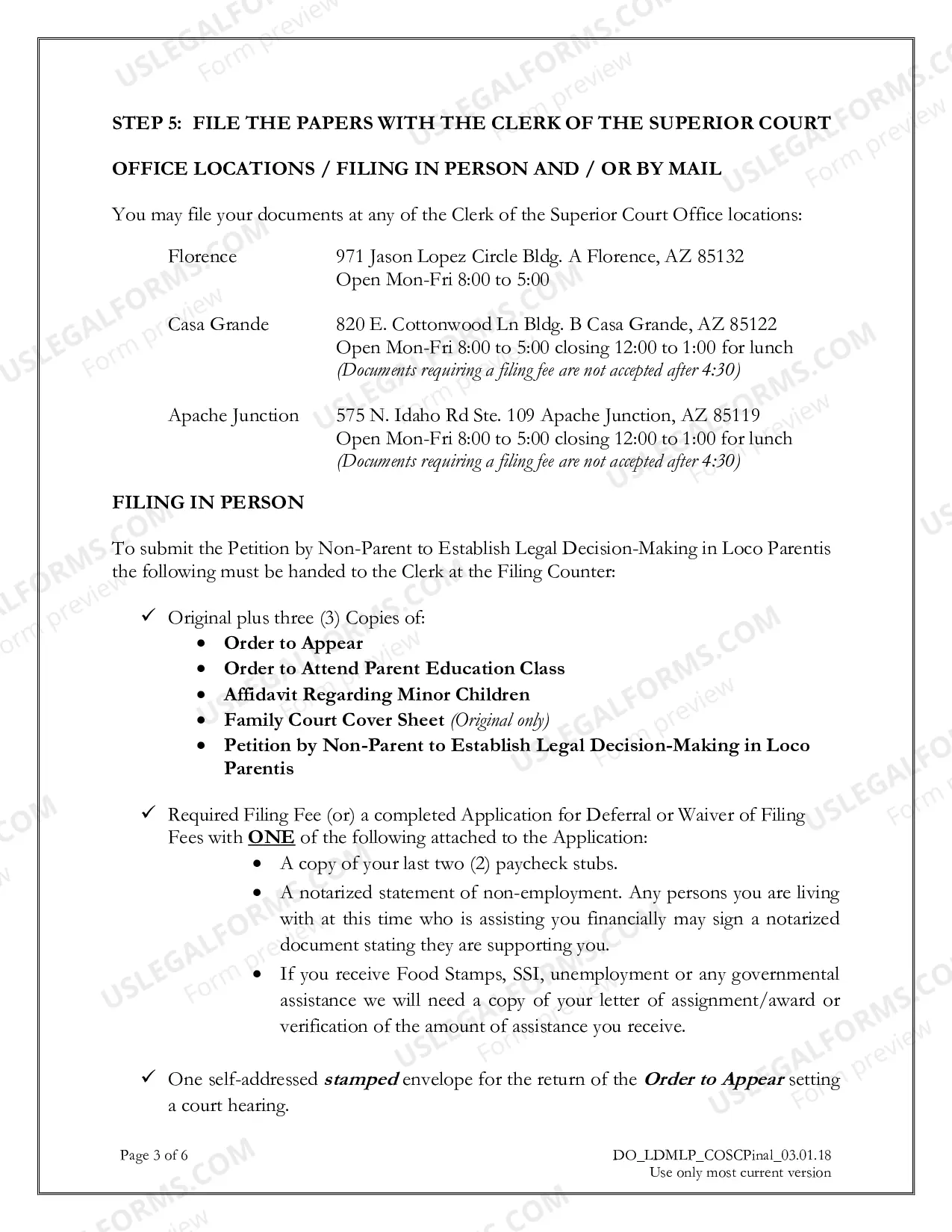 Preview Petition by Non-Parent to Establish Legal Decision-Making in Loco Parentis