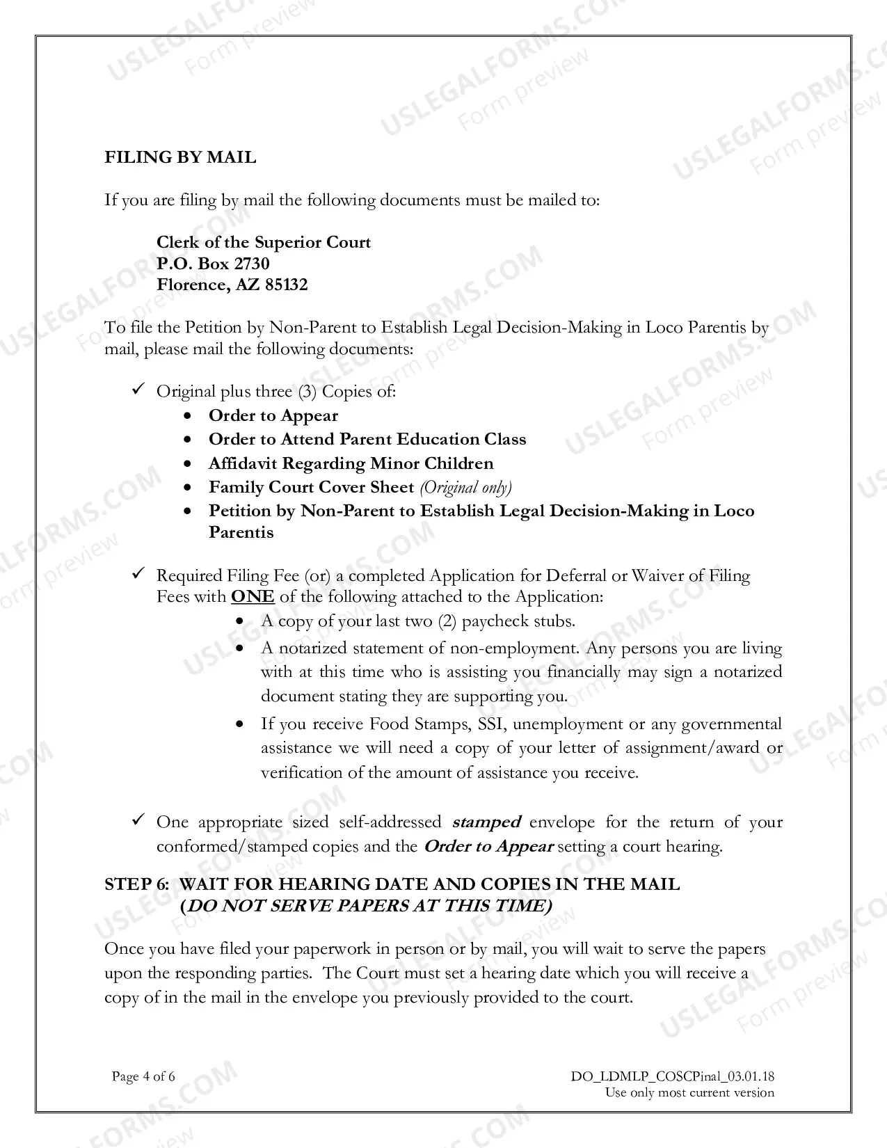 Preview Petition by Non-Parent to Establish Legal Decision-Making in Loco Parentis