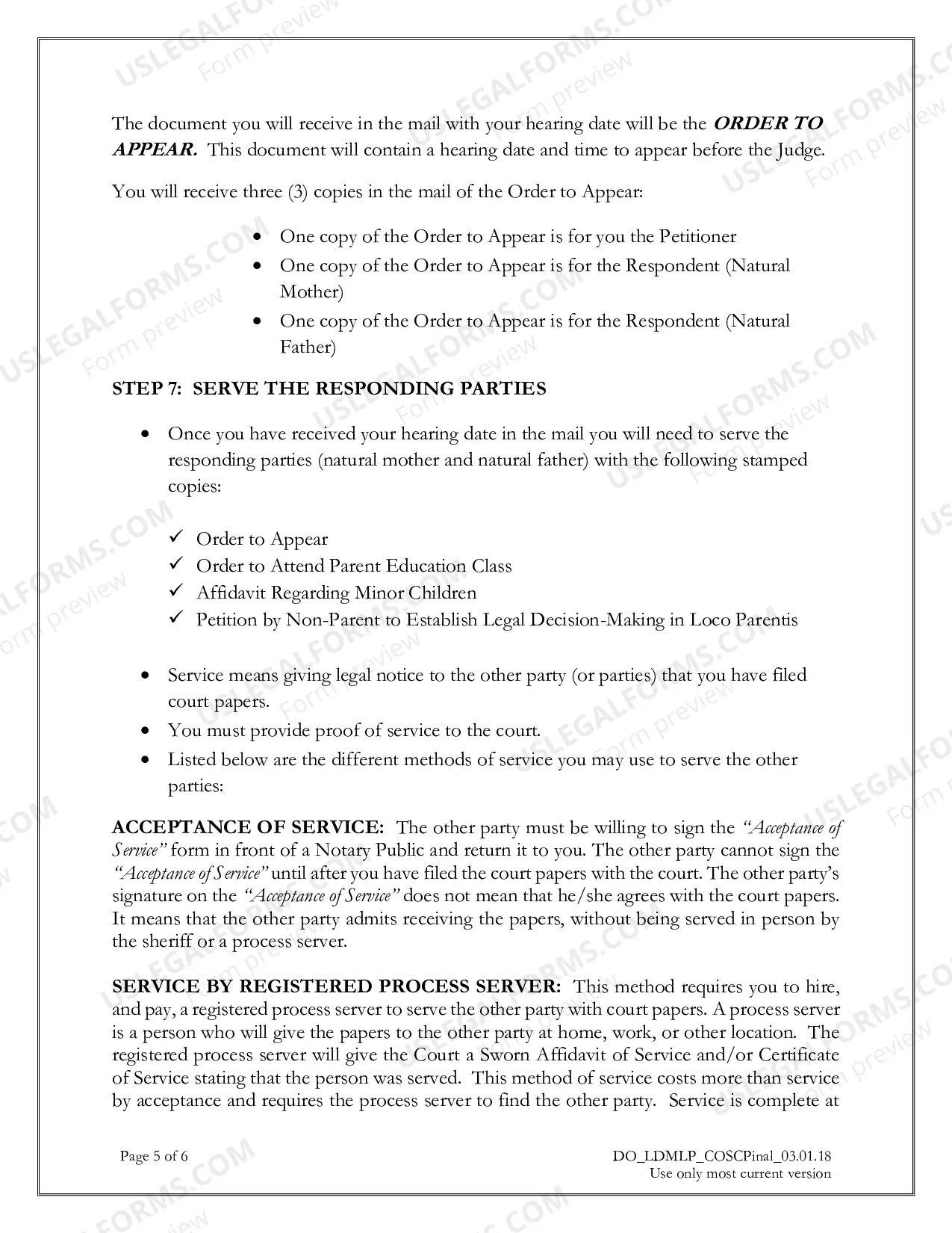 Preview Petition by Non-Parent to Establish Legal Decision-Making in Loco Parentis