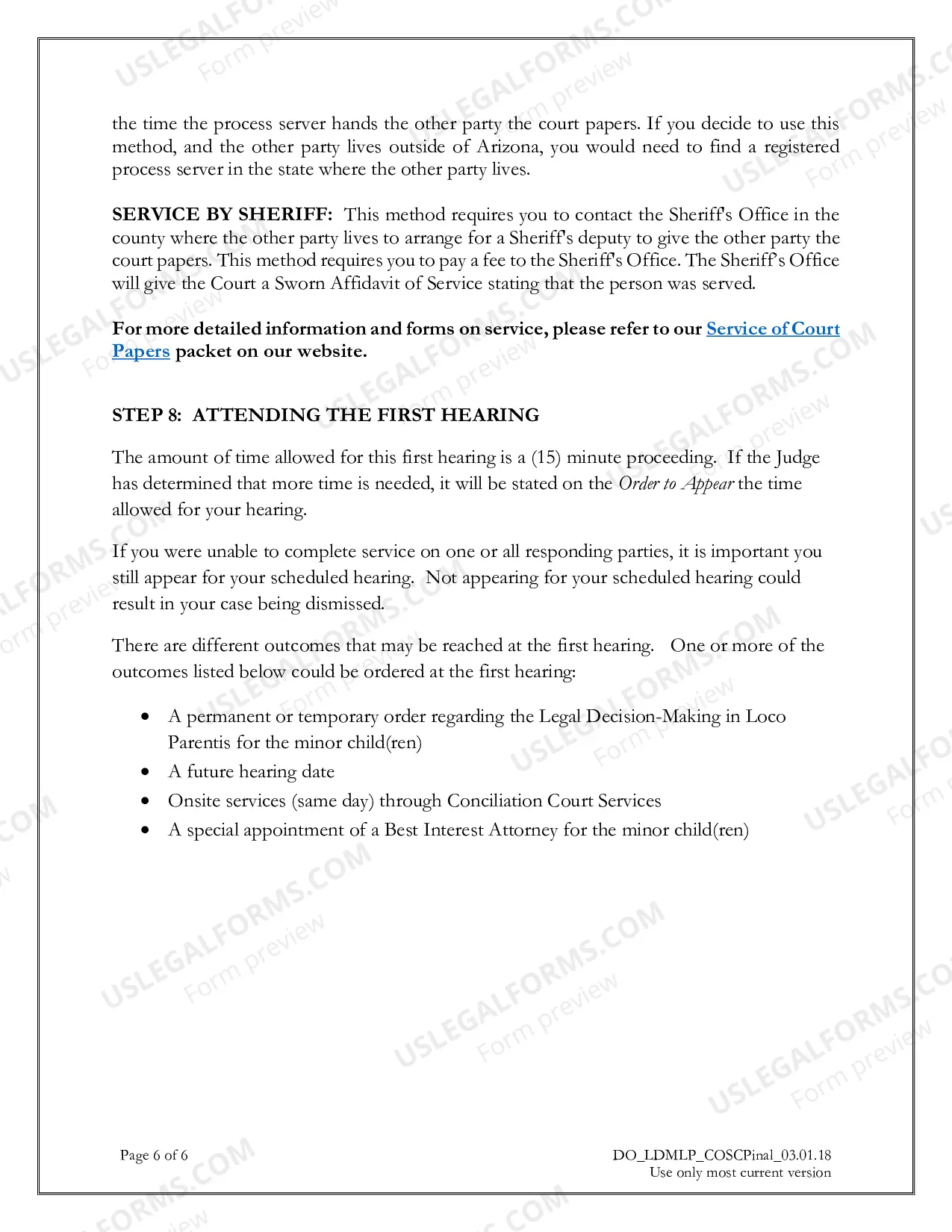 Preview Petition by Non-Parent to Establish Legal Decision-Making in Loco Parentis