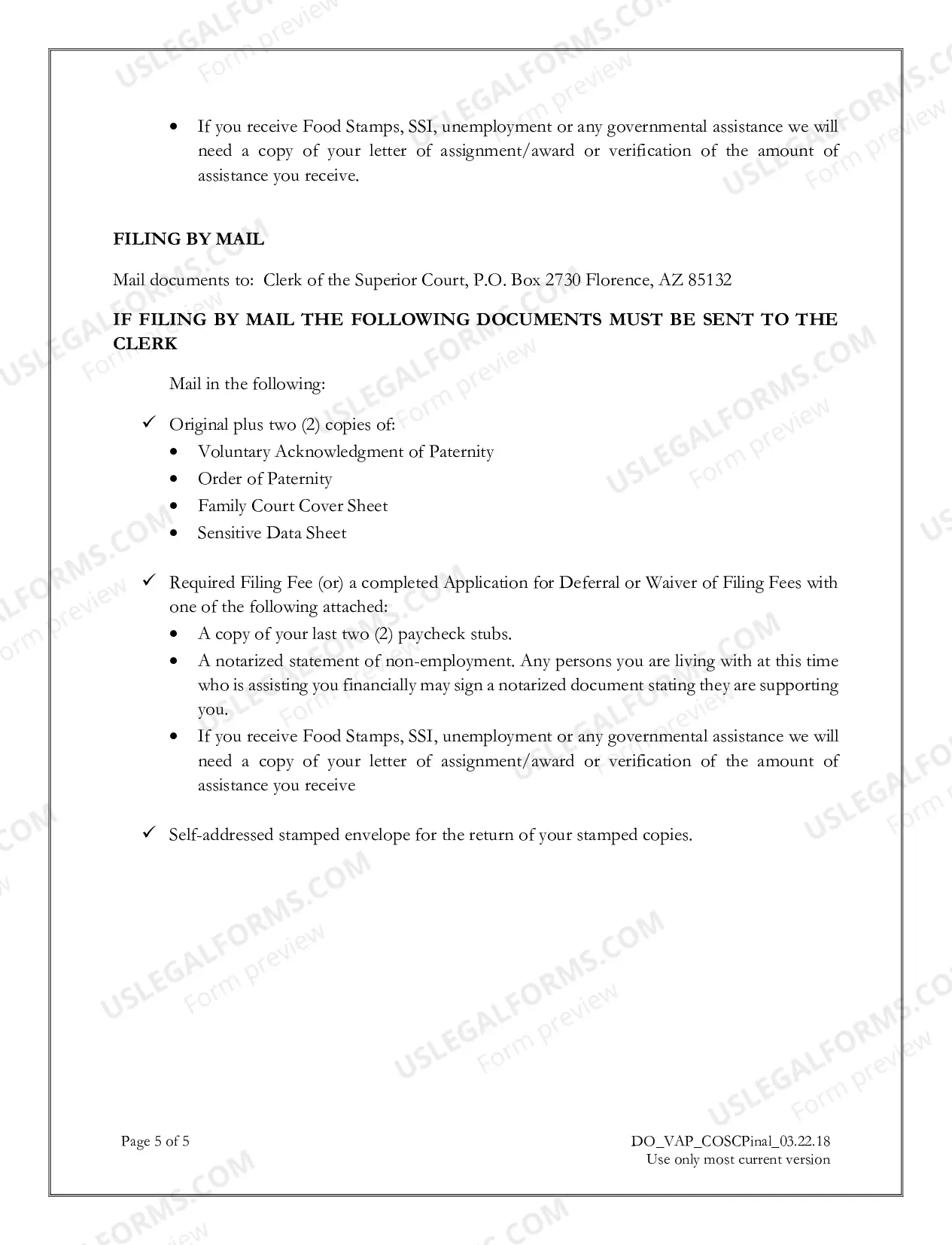 Preview Voluntary Acknowledgment of Paternity