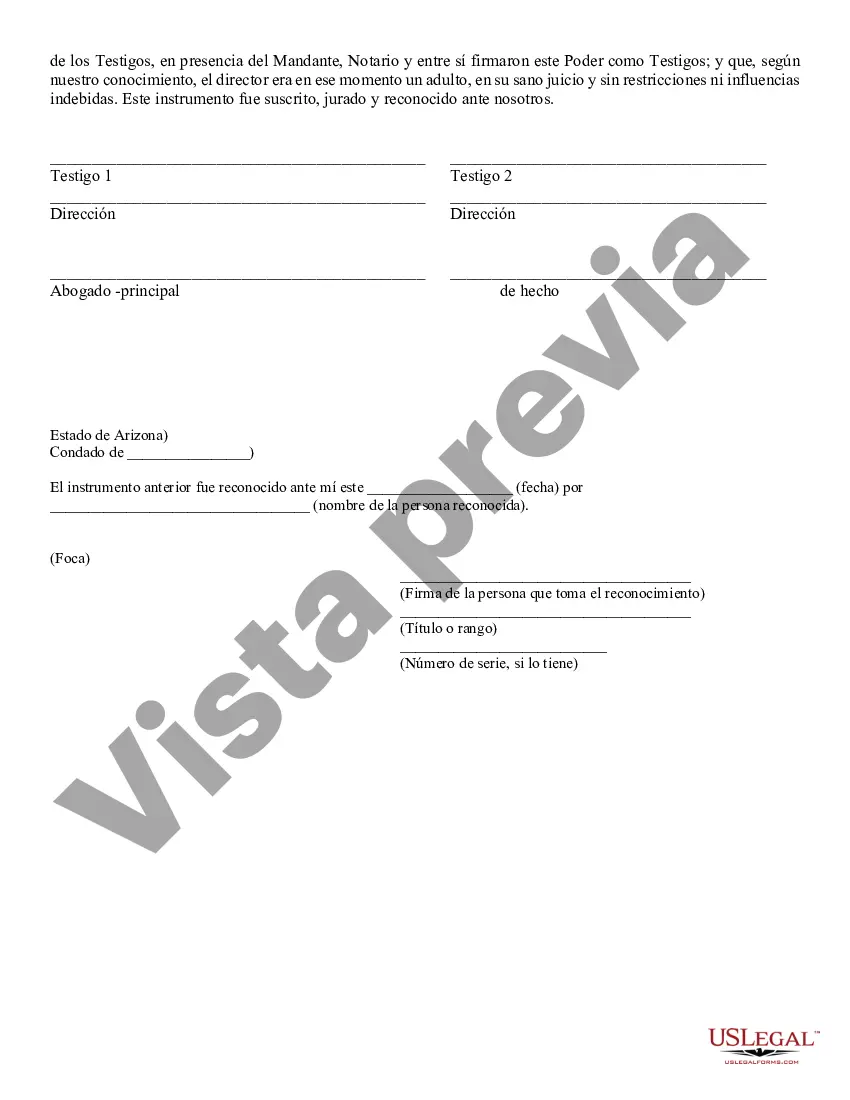 Preview Poder General