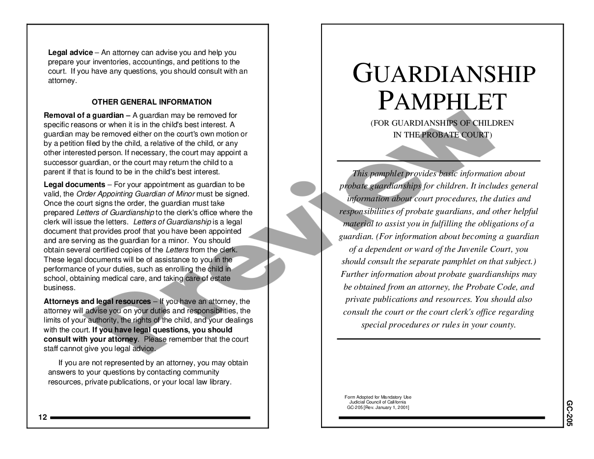 page 0 Guardianship Pamphlet preview
