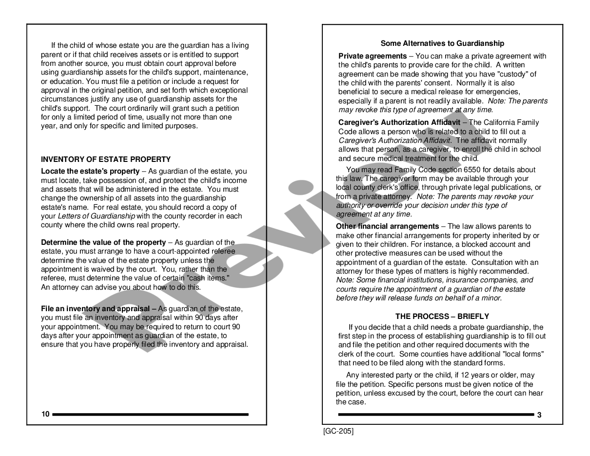 page 2 Guardianship Pamphlet preview
