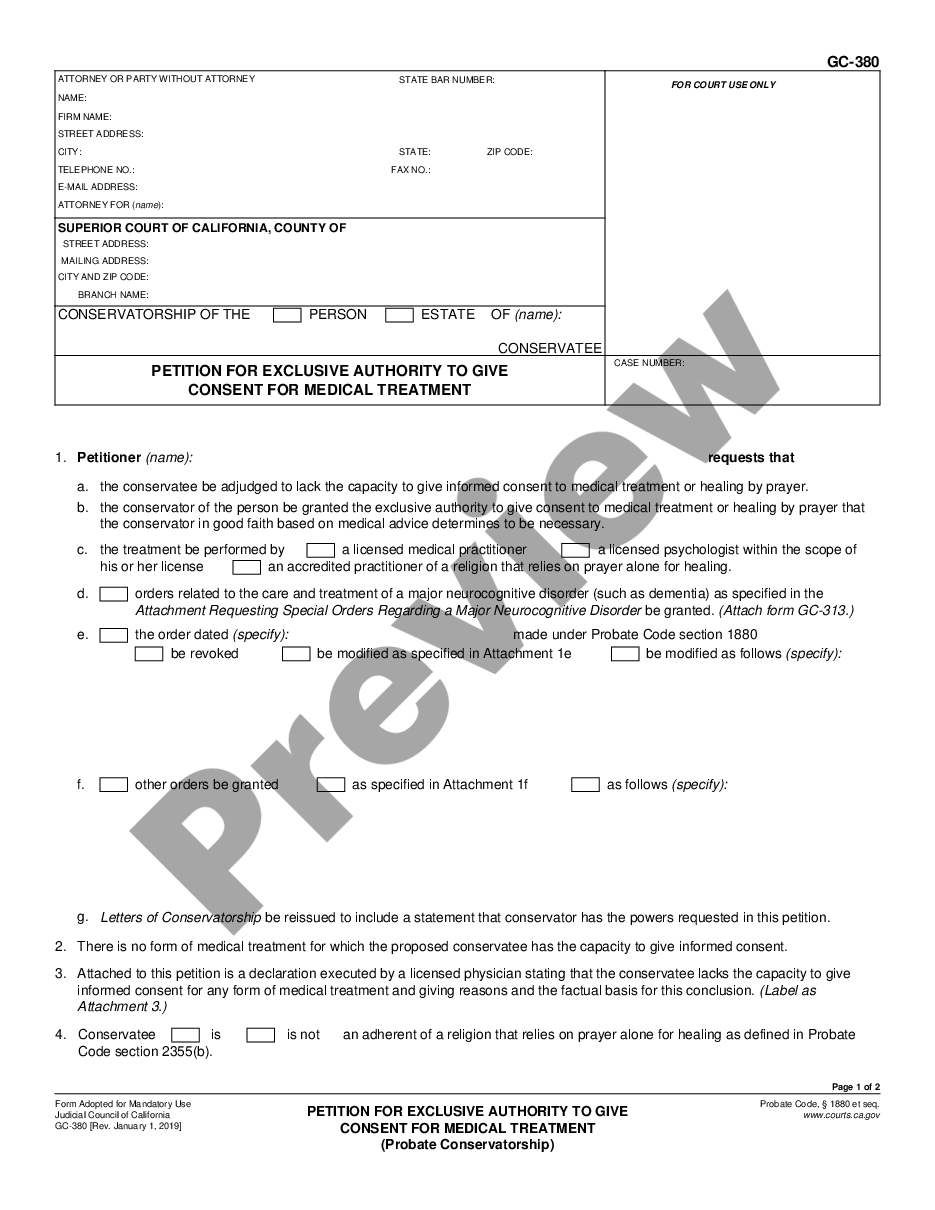 page 0 Petition for Exclusive Authority to Give Consent for Medical Treatment preview