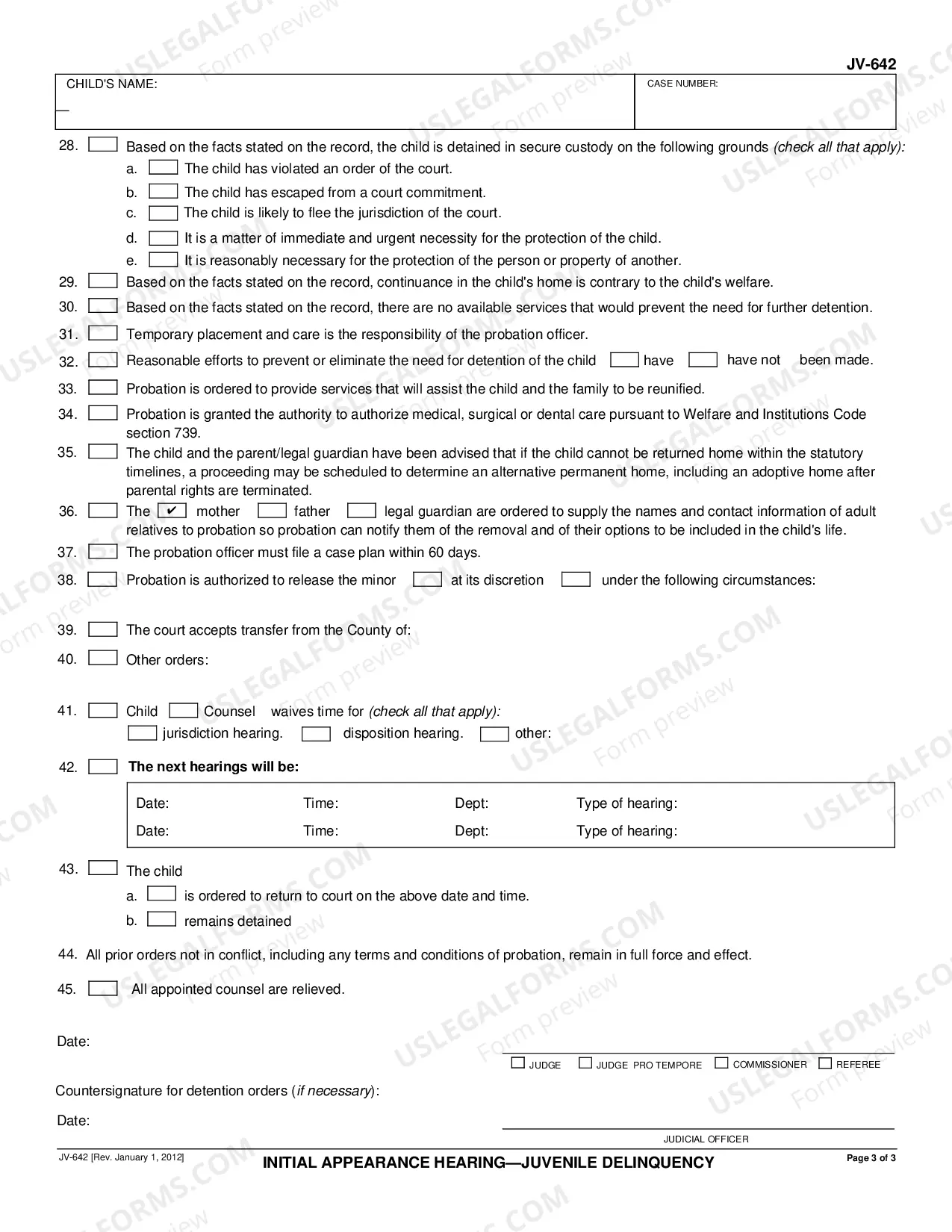Preview Initial Appearance Hearing - Juvenile Delinquency