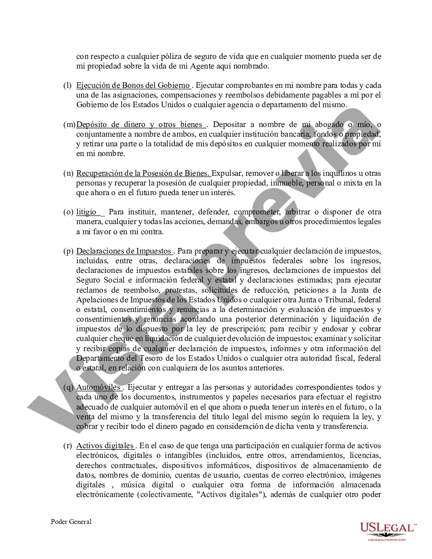 Preview Poder General Duradero para Bienes y Finanzas o Financiero Efectivo Inmediatamente