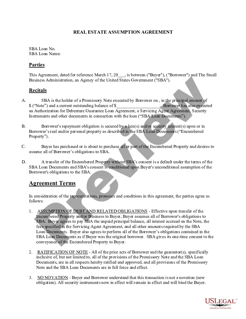 Preview Real Estate Assumption Agreement with Instruction Sheet