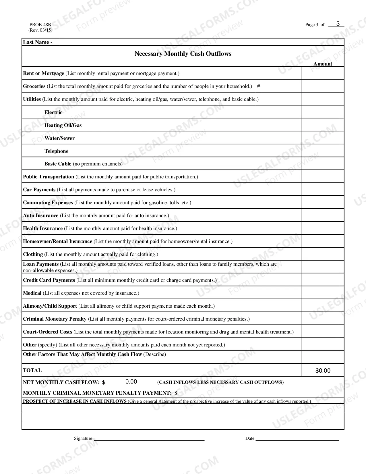 Preview Monthy Cash Flow Statement