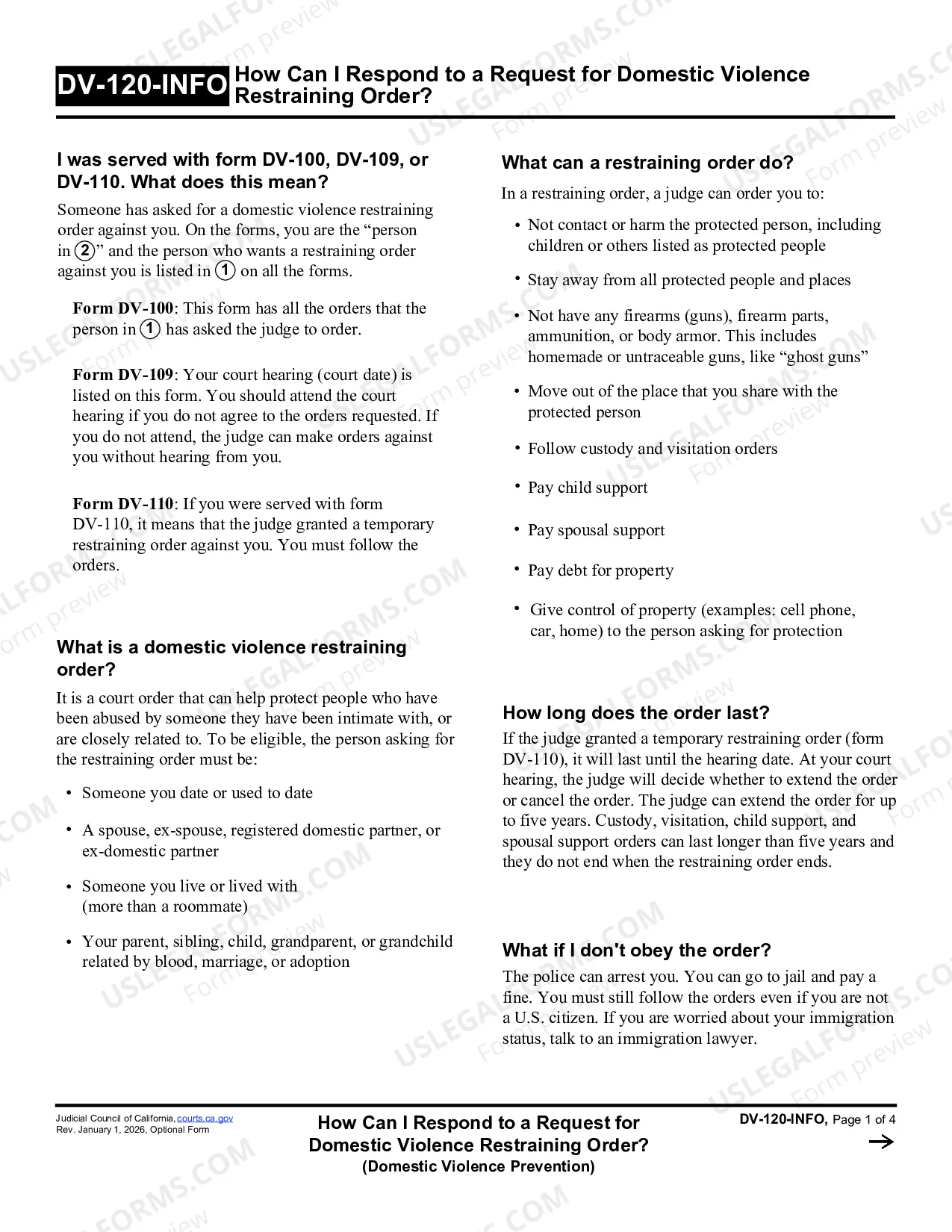 Preview Restraining Order Packet
