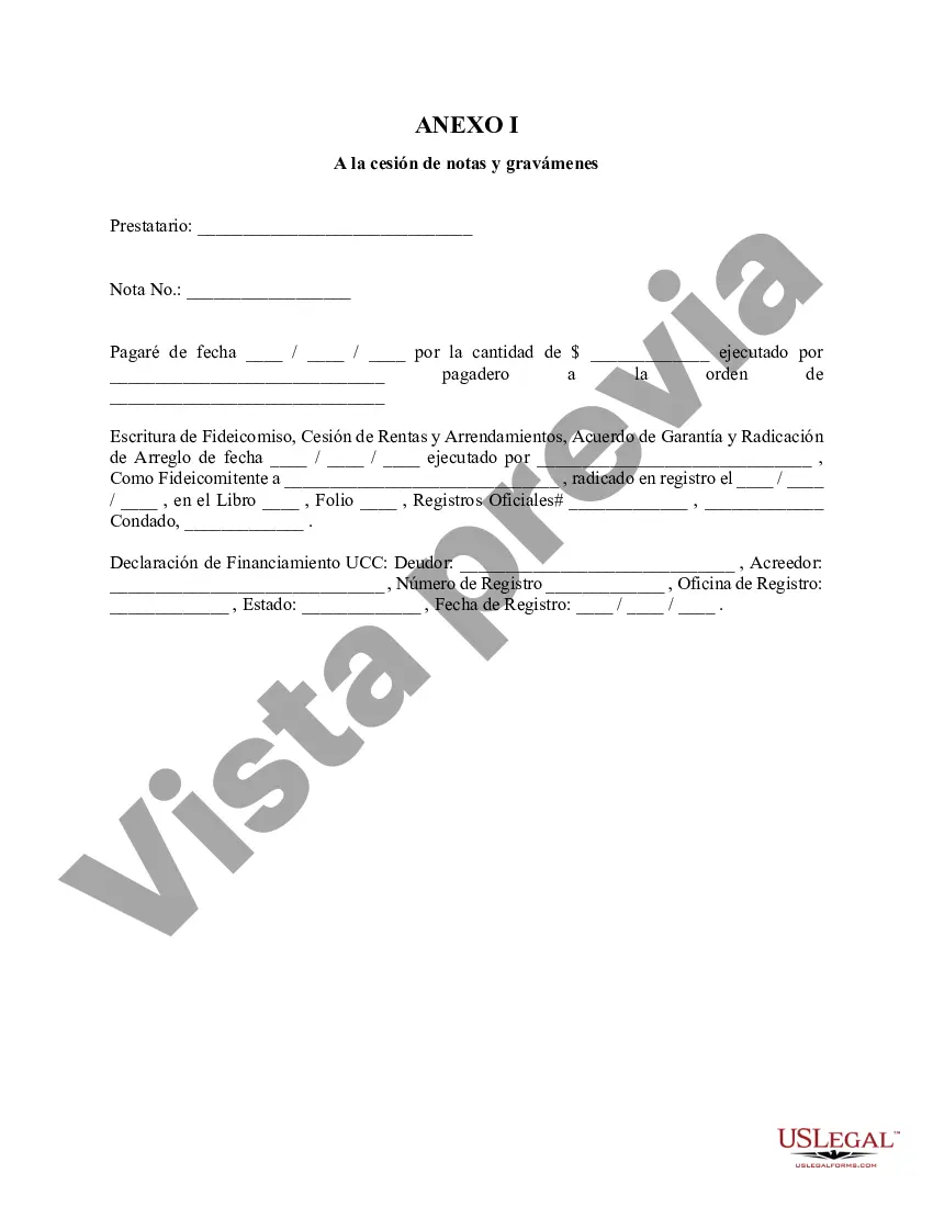 Preview Cesión de pagarés y gravámenes