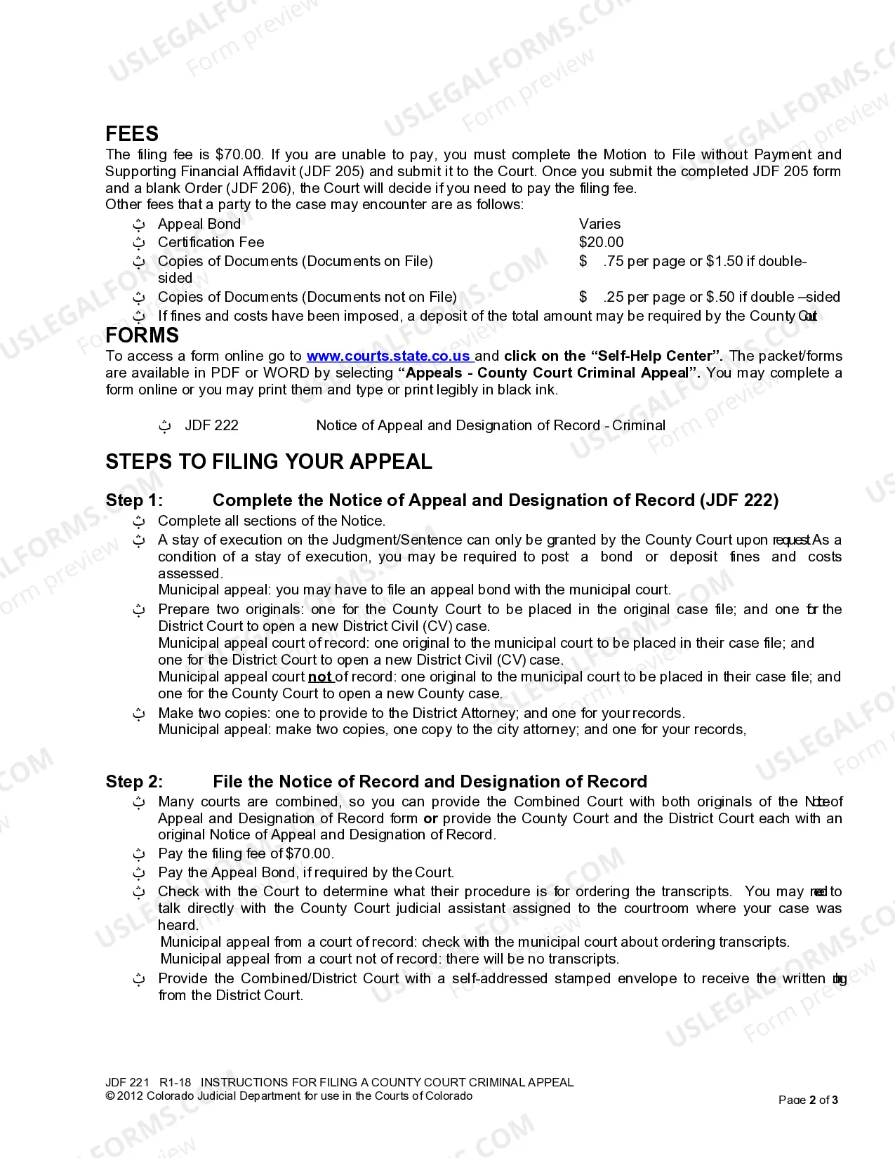 Preview Instructions for Filing A County Court Criminal Appeal - For Defendant - Appellant Only