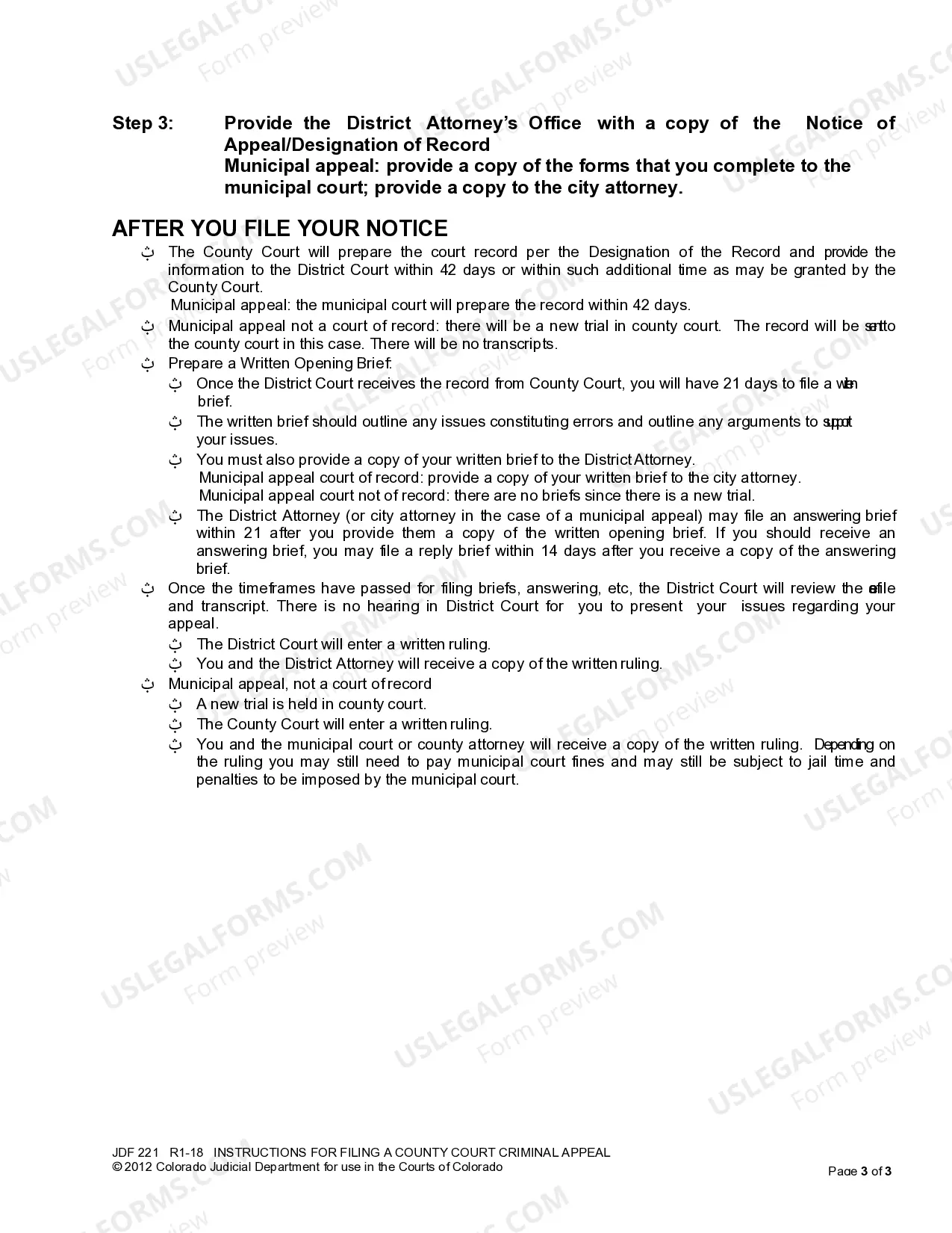 Preview Instructions for Filing A County Court Criminal Appeal - For Defendant - Appellant Only