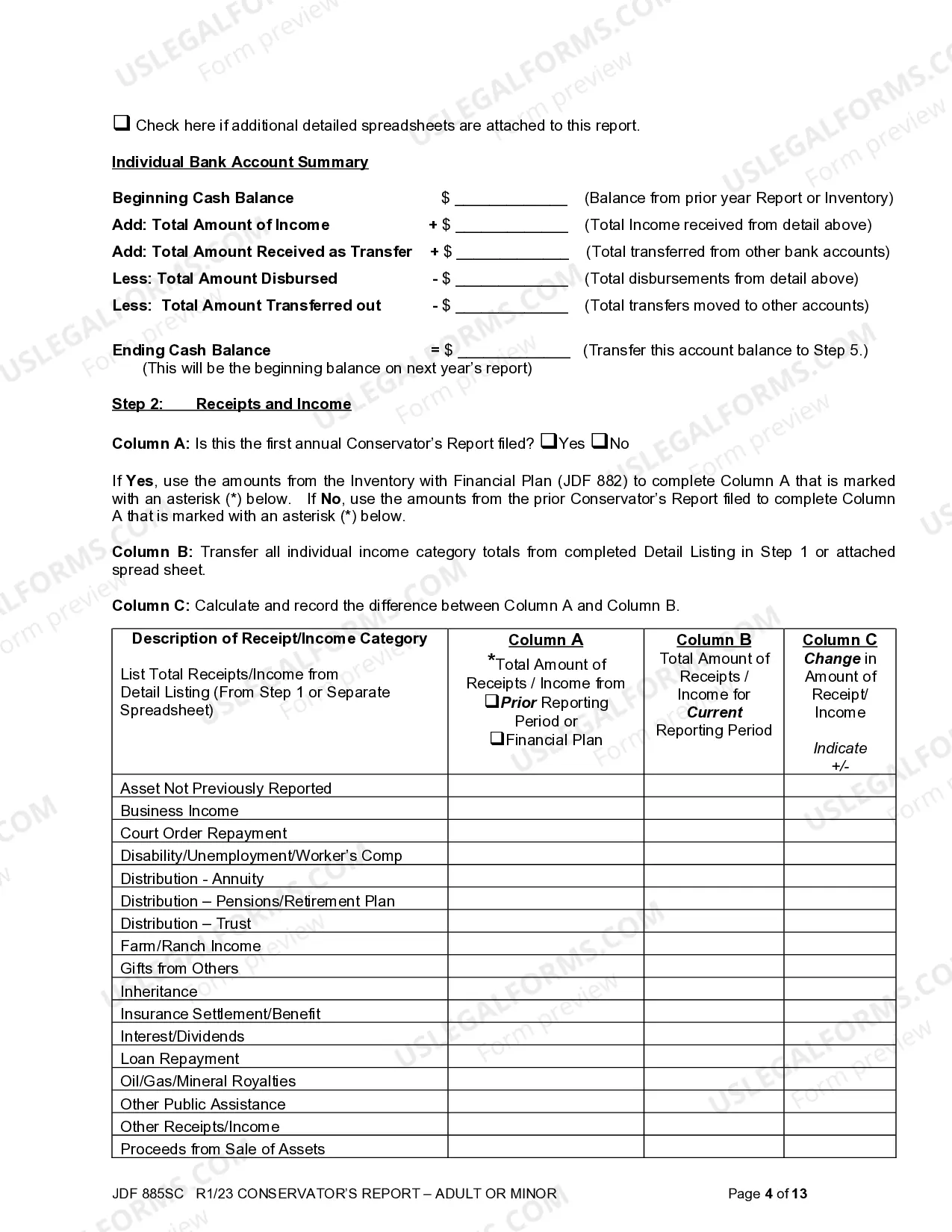 Preview Conservator's Report
