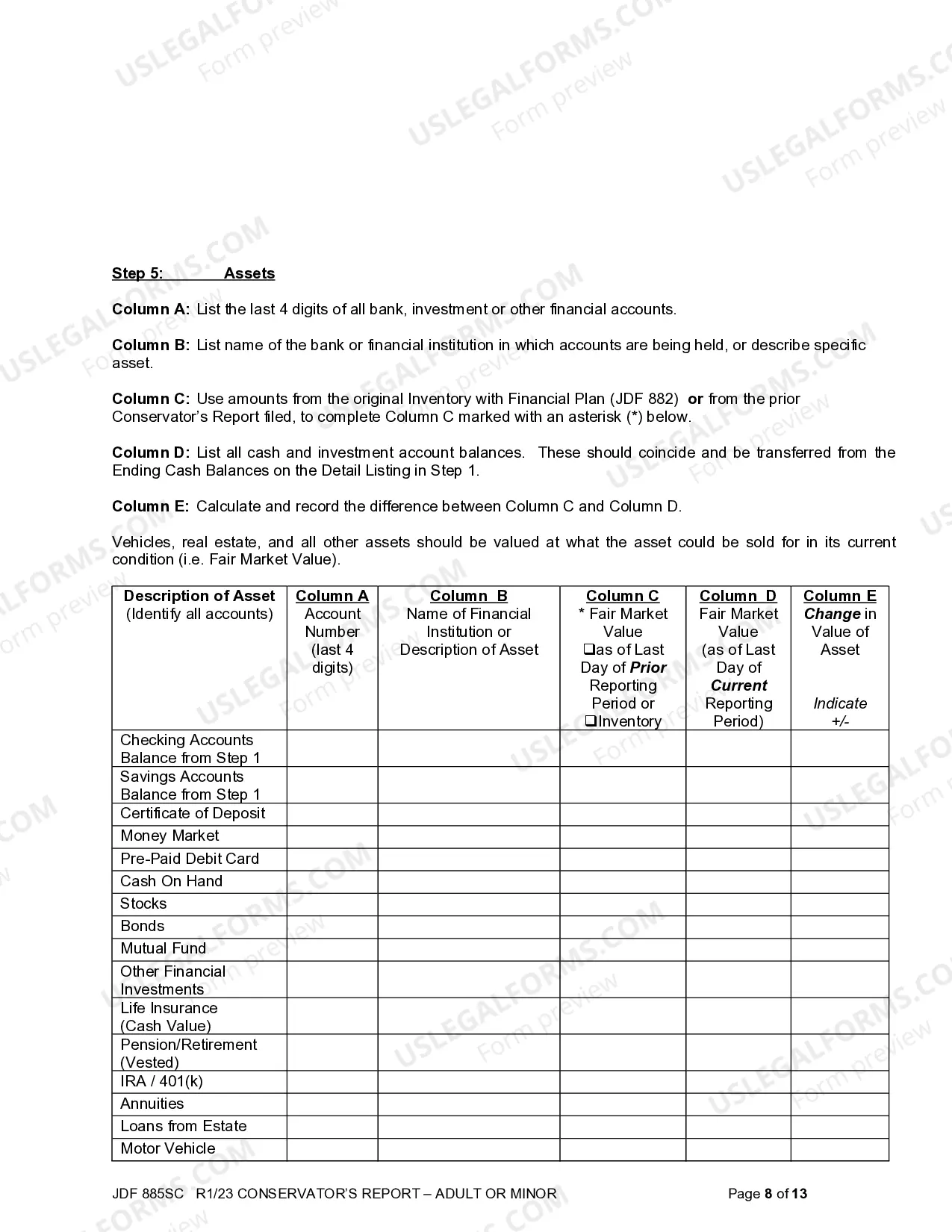 Preview Conservator's Report