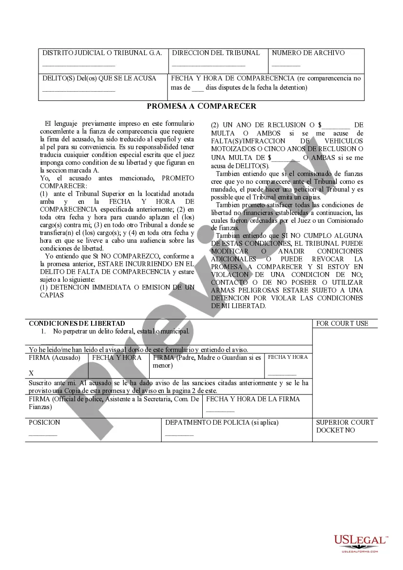 Preview Promise to Appear