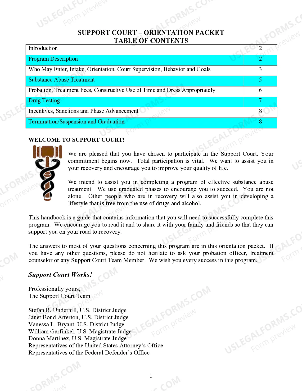 Preview Support Court Participant Orientation Packet