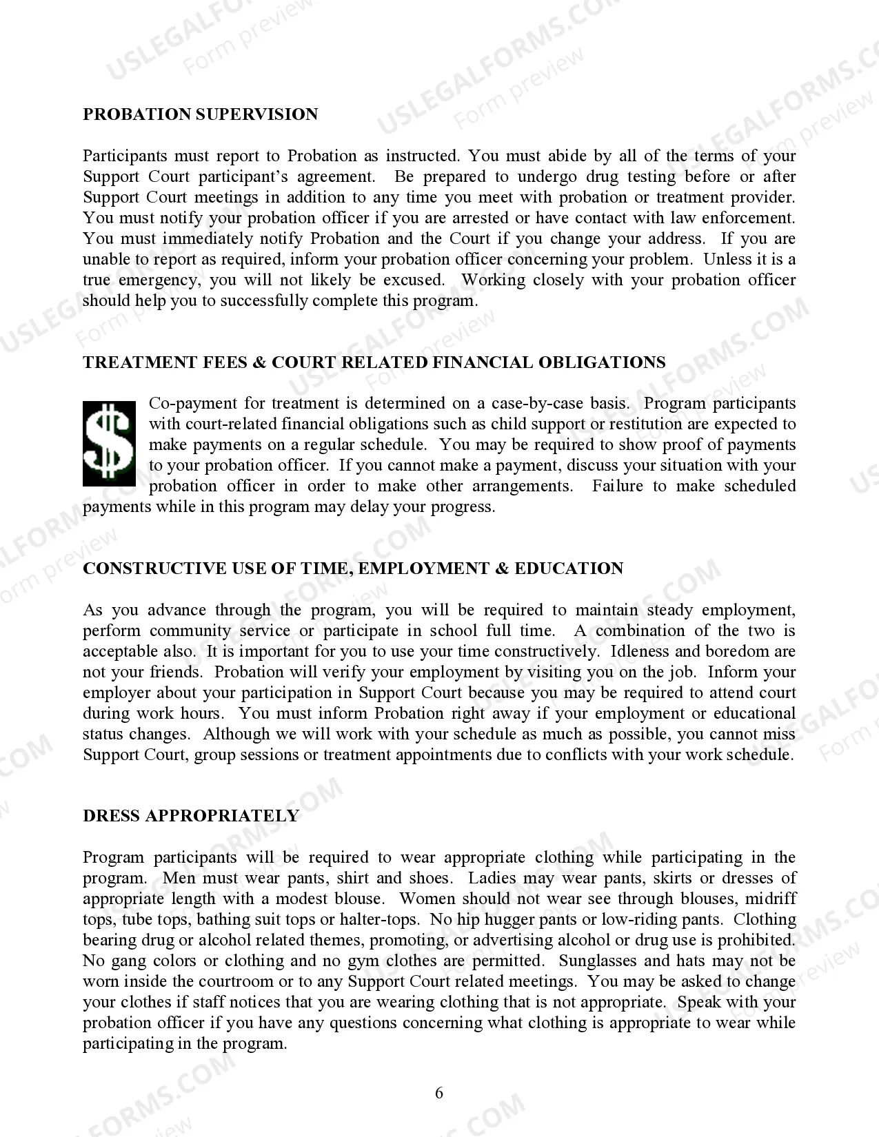 Preview Support Court Participant Orientation Packet