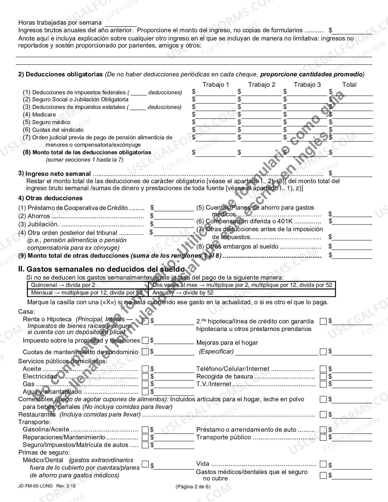 Preview Financial Affidavit (Long Version) - Spanish
