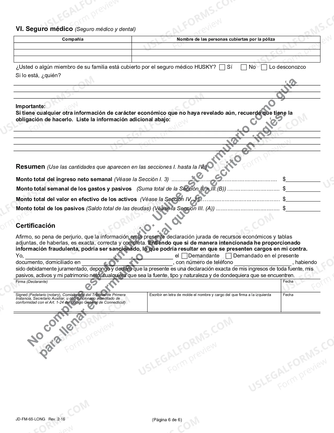 Preview Financial Affidavit (Long Version) - Spanish